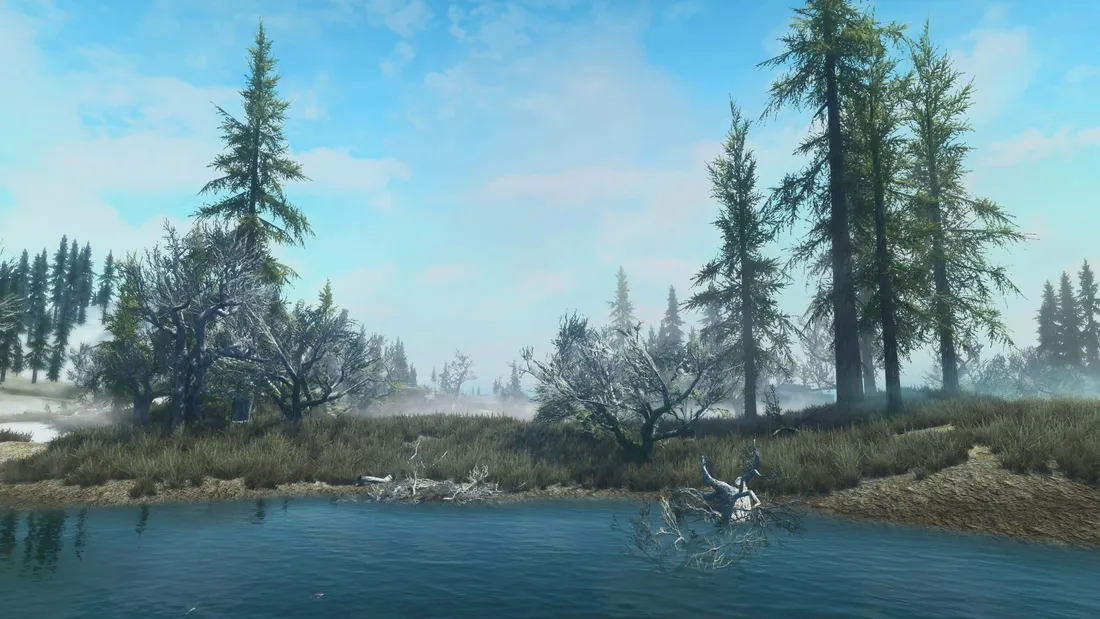 Skyrim Landscape