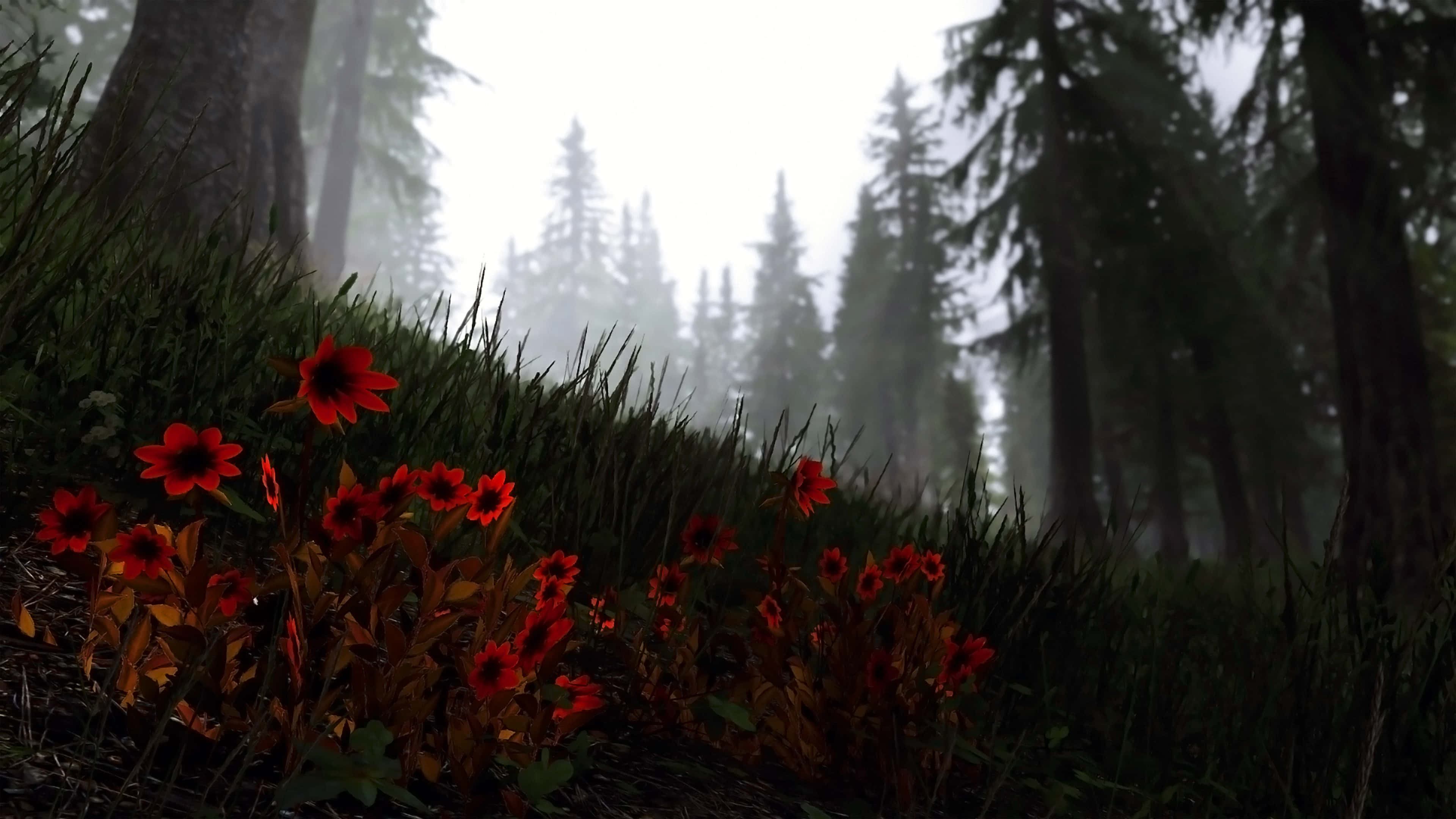 Skyrim Landscape, floral grass, vibrant red flowers, 4K Desktop Wallpaper