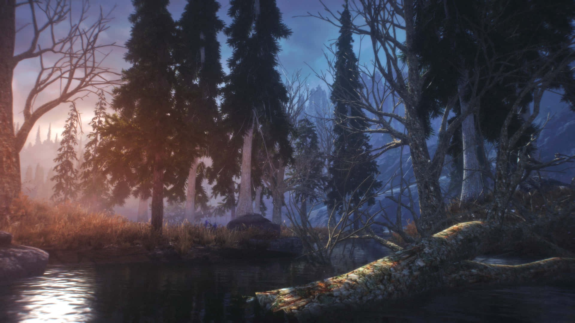 Skyrim Landscape, misty forest, dawn, Full HD Desktop Wallpaper