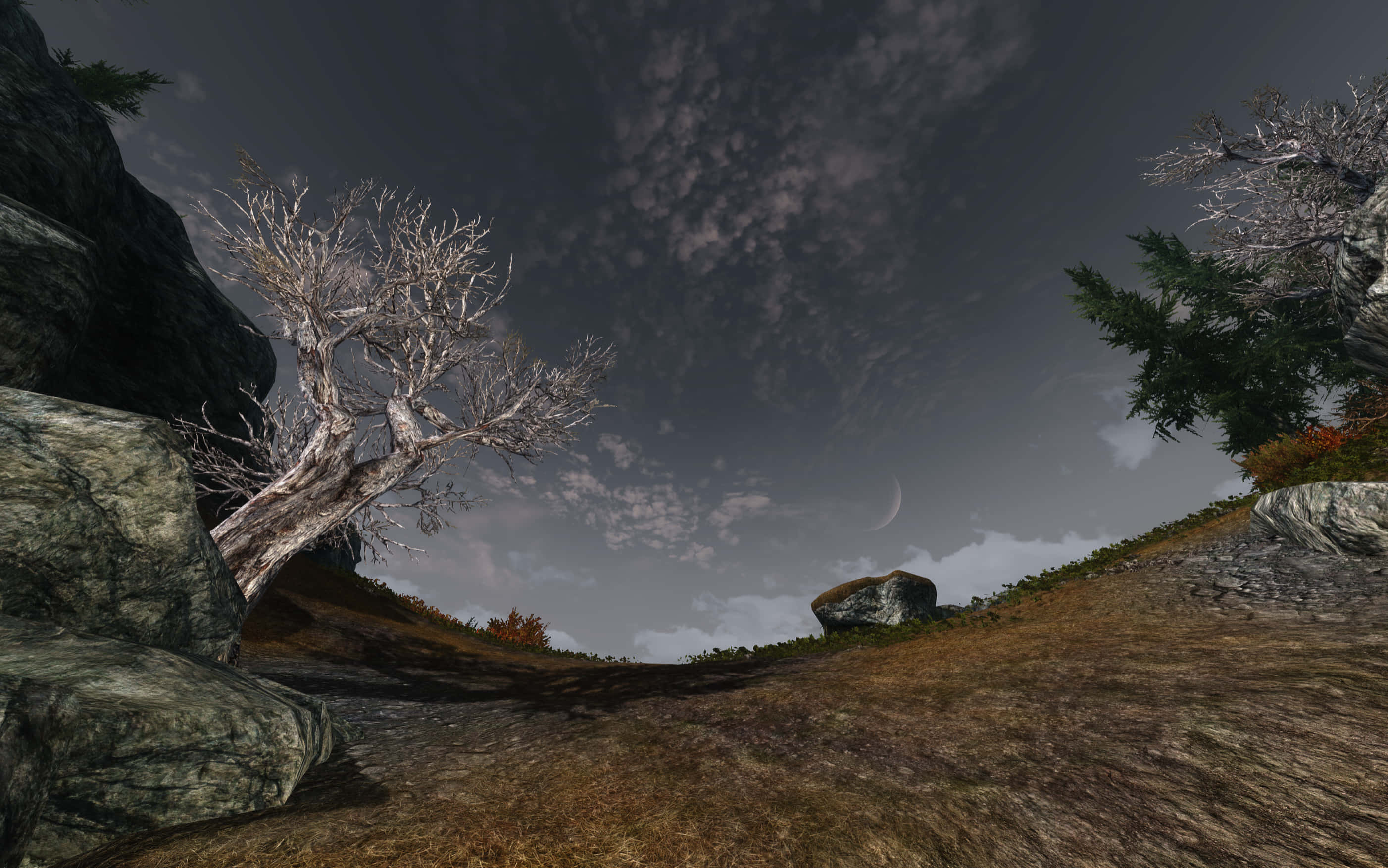 Skyrim, lone bare tree, rocky hillside, 2K Desktop Wallpaper