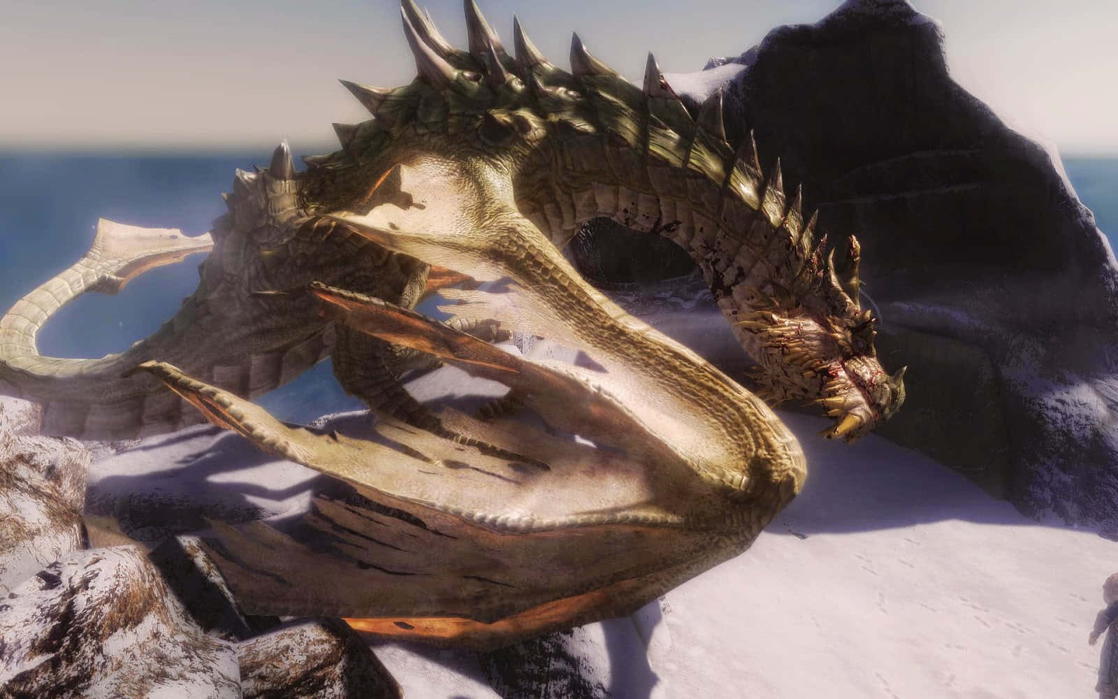 Paarthurnax, Skyrim, spiked scales, HD Desktop Wallpaper