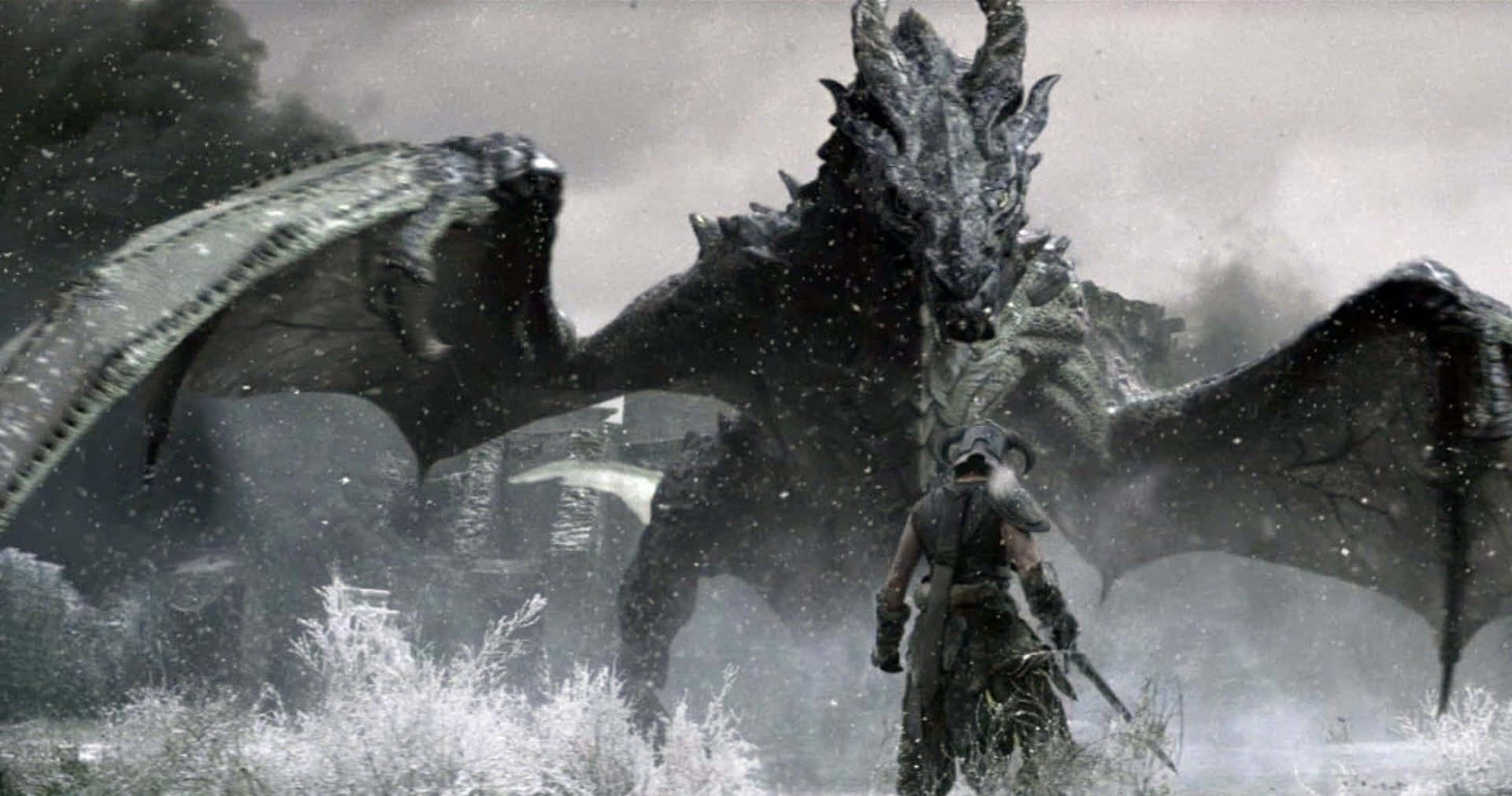 Skyrim, dragon, snow-covered, Full HD Desktop Wallpaper