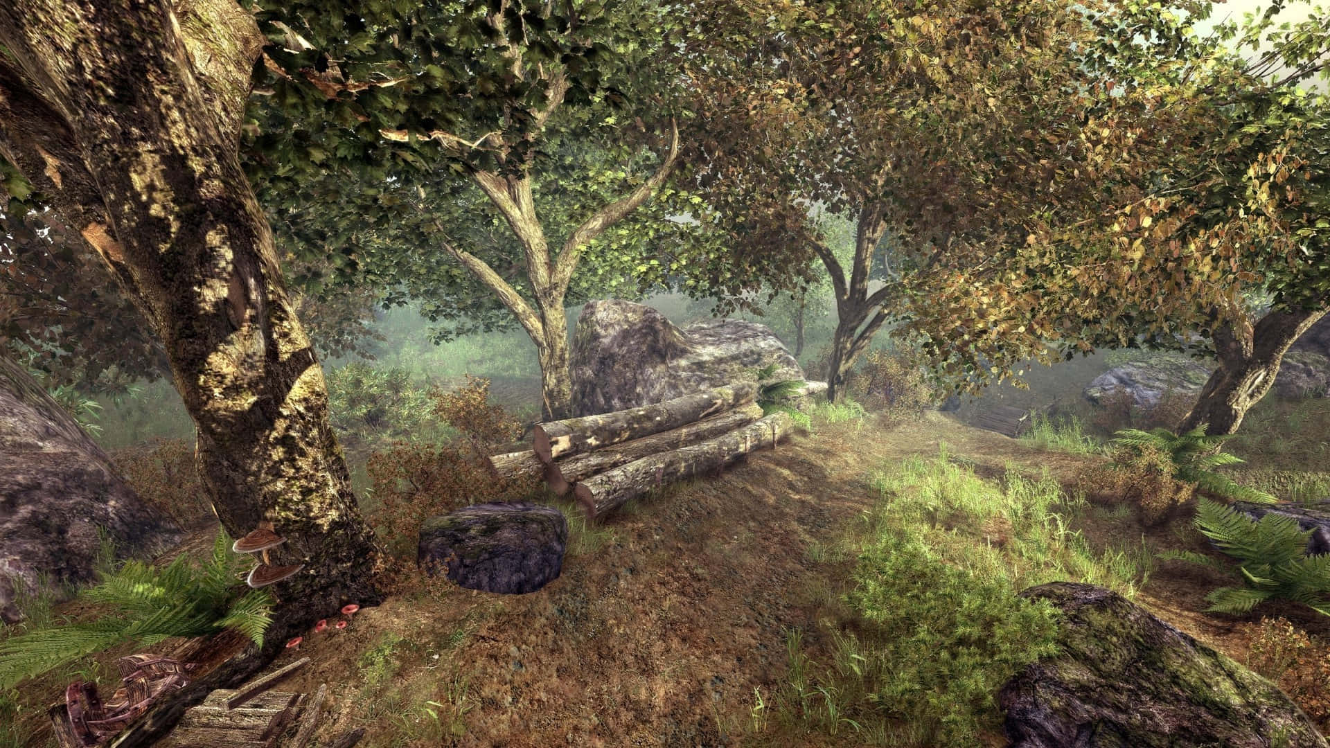 Skyrim, forest path, mossy trees, Full HD Desktop Wallpaper