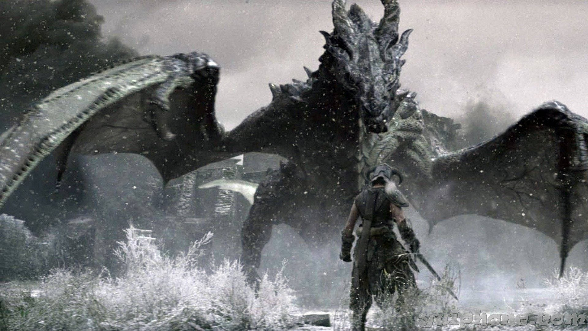 Skyrim, dragon, snow-covered, Full HD Desktop Wallpaper