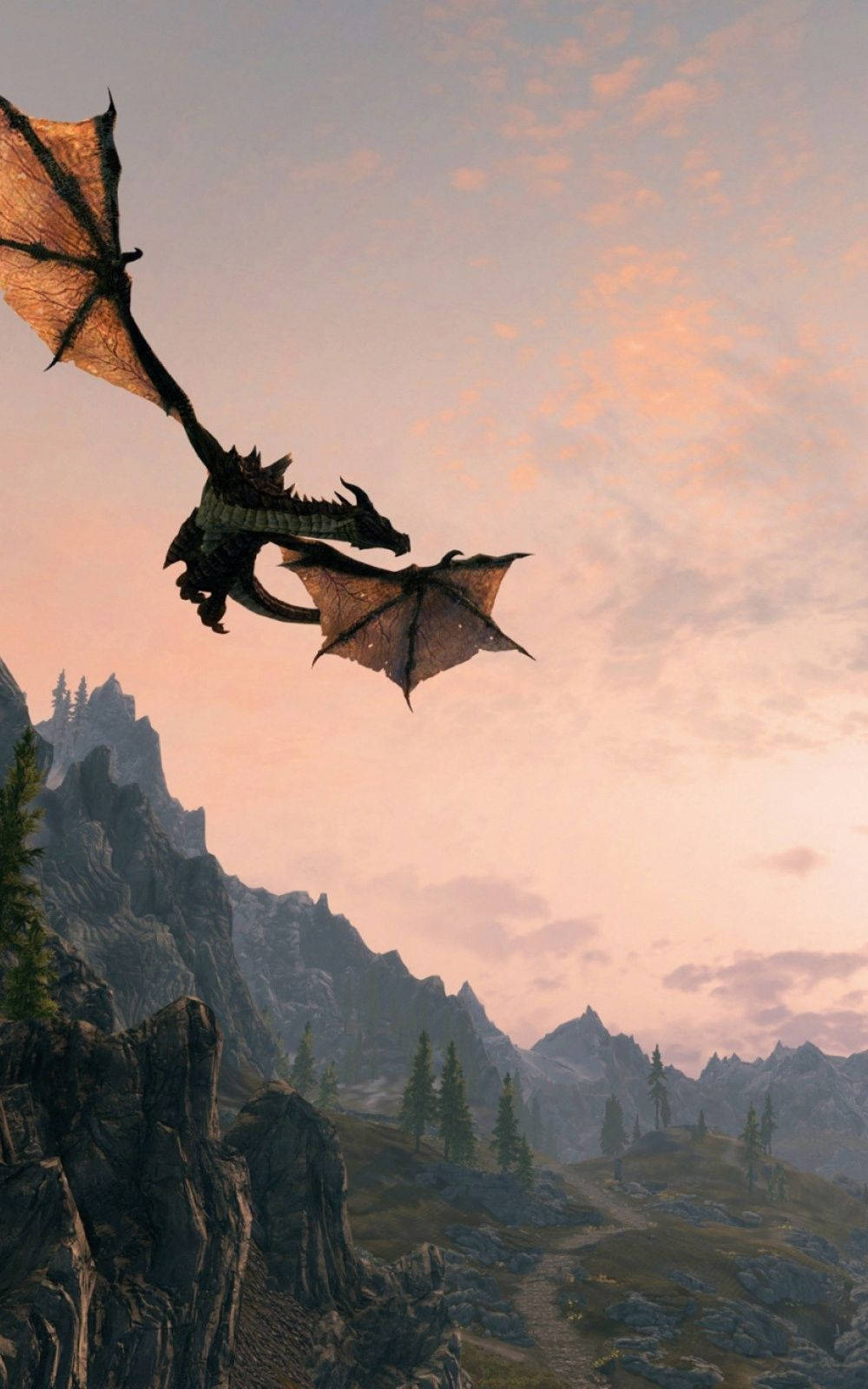 Skyrim, iPhone, flying dragon, HD Phone Wallpaper
