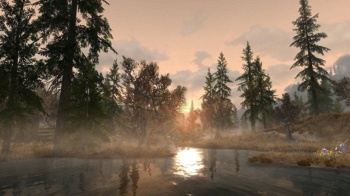 Skyrim, forest, sunlight, SD Desktop Wallpaper