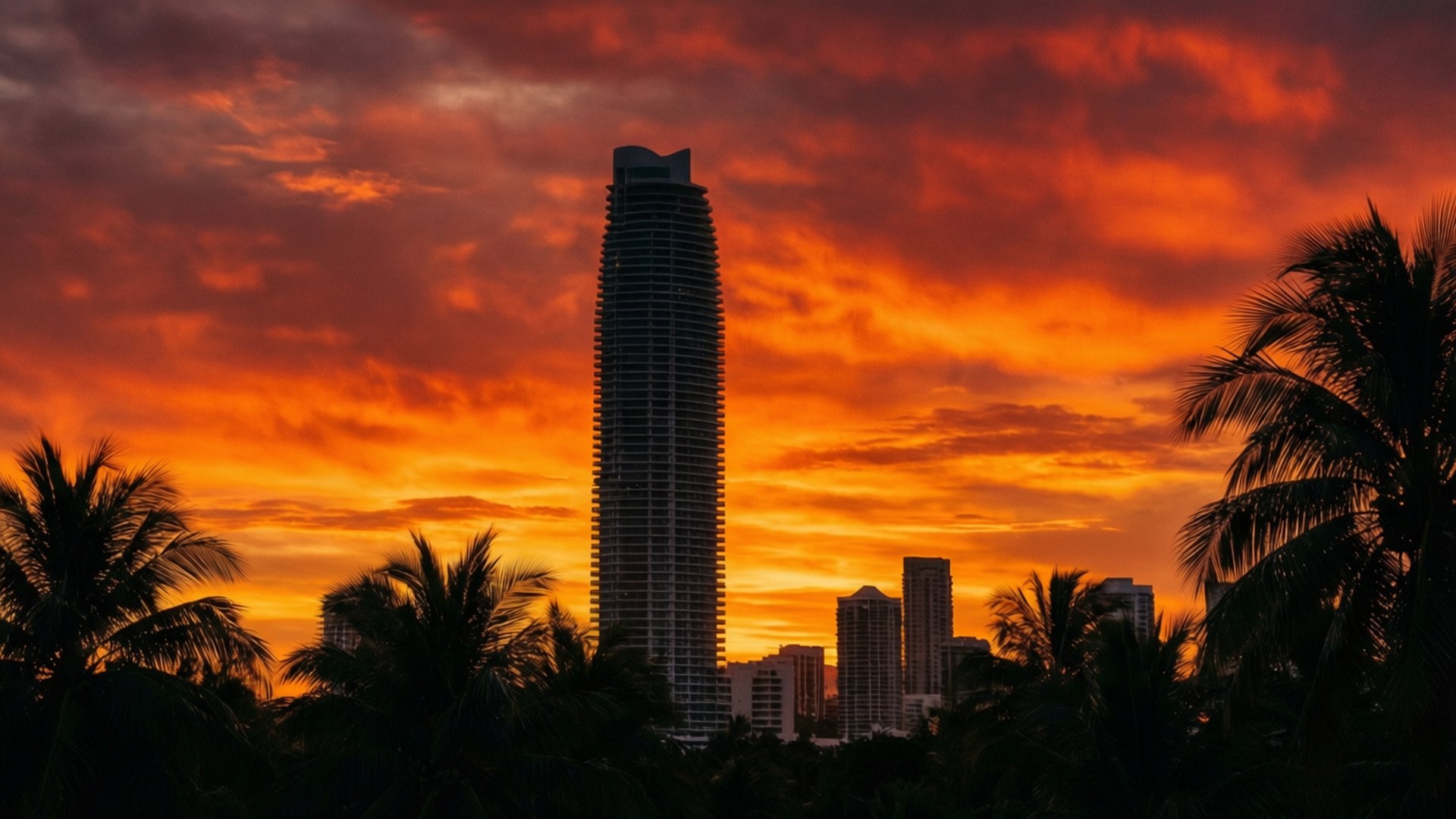 Sunset Silhouette Tower, fiery orange and red sunset sky, palm trees, Full HD Desktop Wallpaper