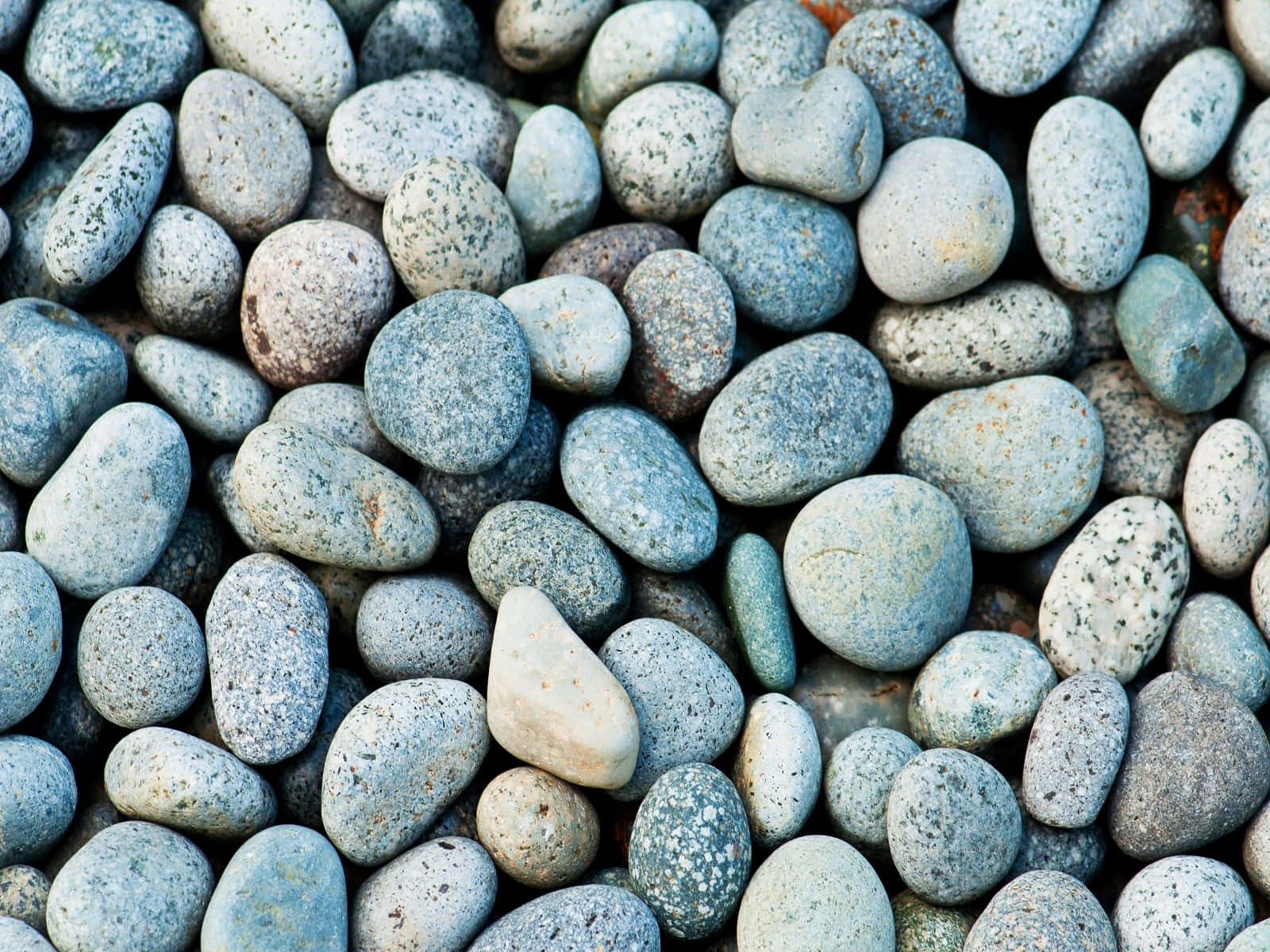 Slate Blue, 1600 x 1200, cool blue gray, HD Desktop Wallpaper