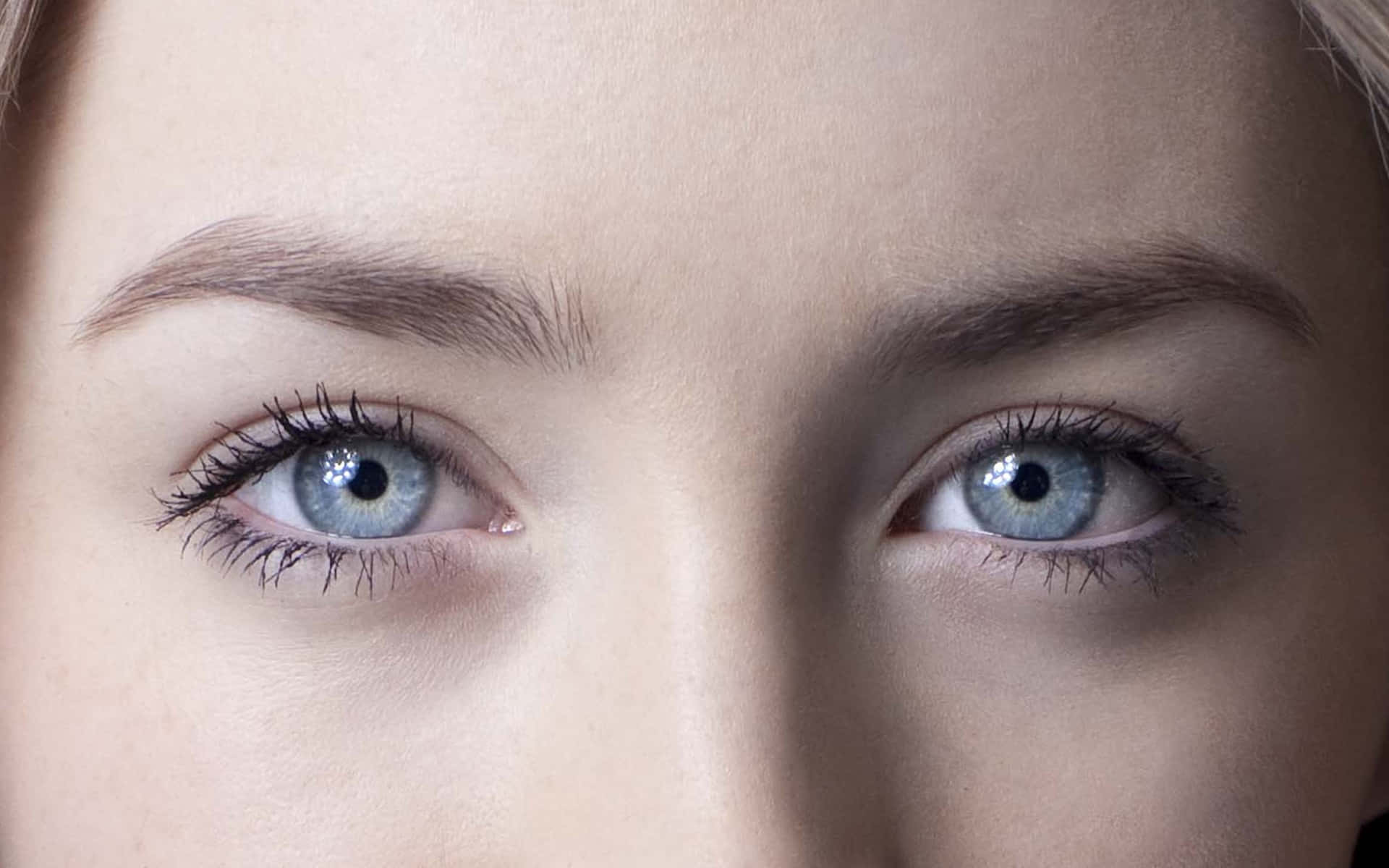 Slate Blue, 1920 x 1200, blue eyes, Full HD Desktop Wallpaper