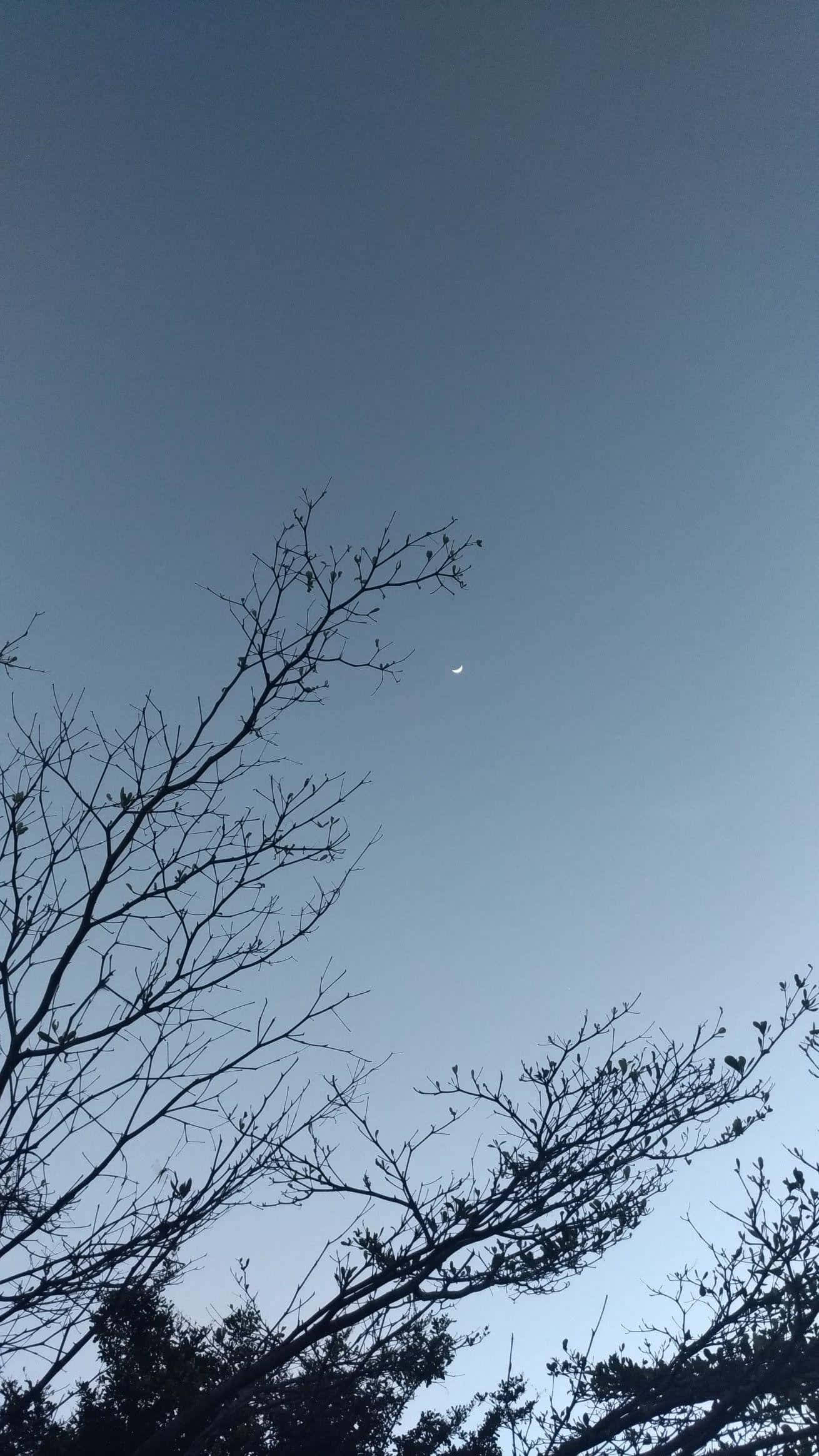 Slate Blue, crescent moon, twilight sky, Full HD Phone Wallpaper