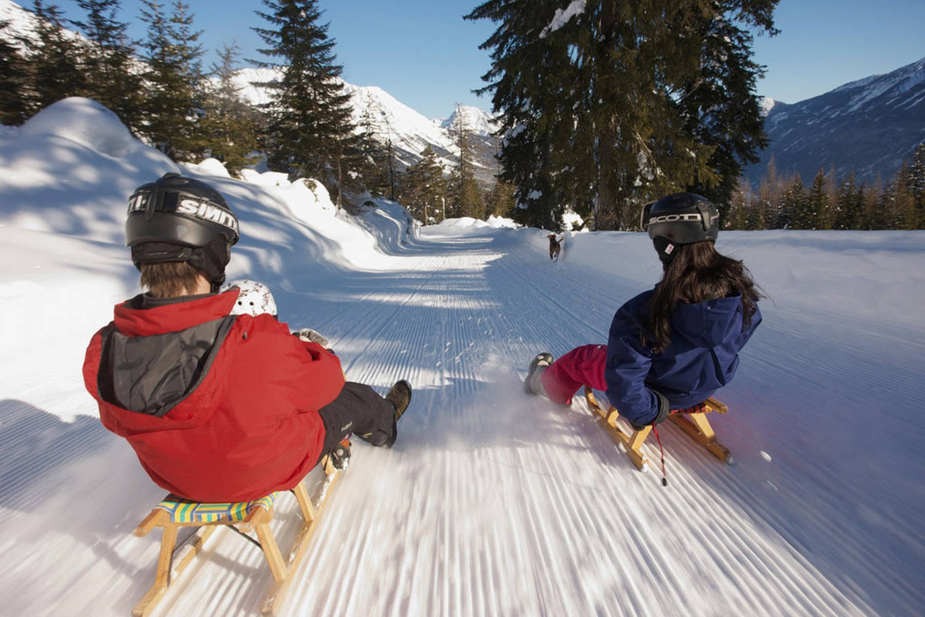 siblings, snowy slope, evergreens, HD Desktop Wallpaper