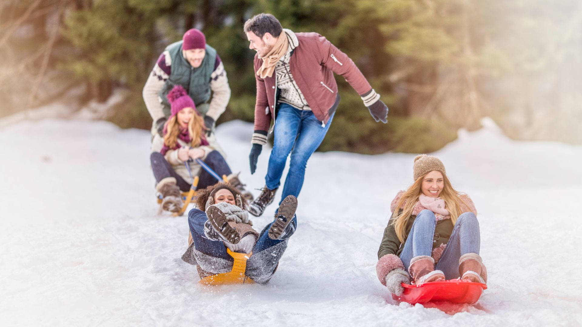 Family Holiday Sledding, snowy hill, forest backdrop, Full HD Desktop Wallpaper