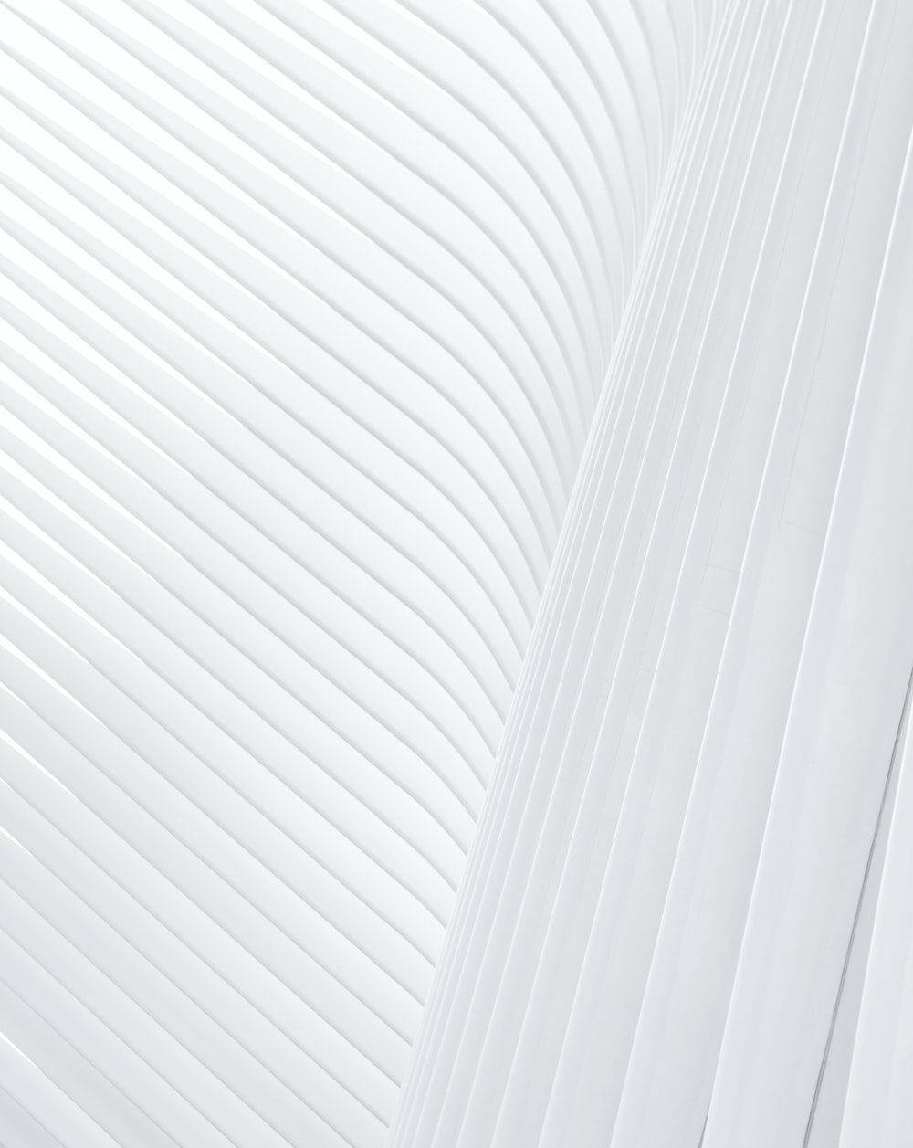 Sleek, matte finish, white, SD Phone Wallpaper