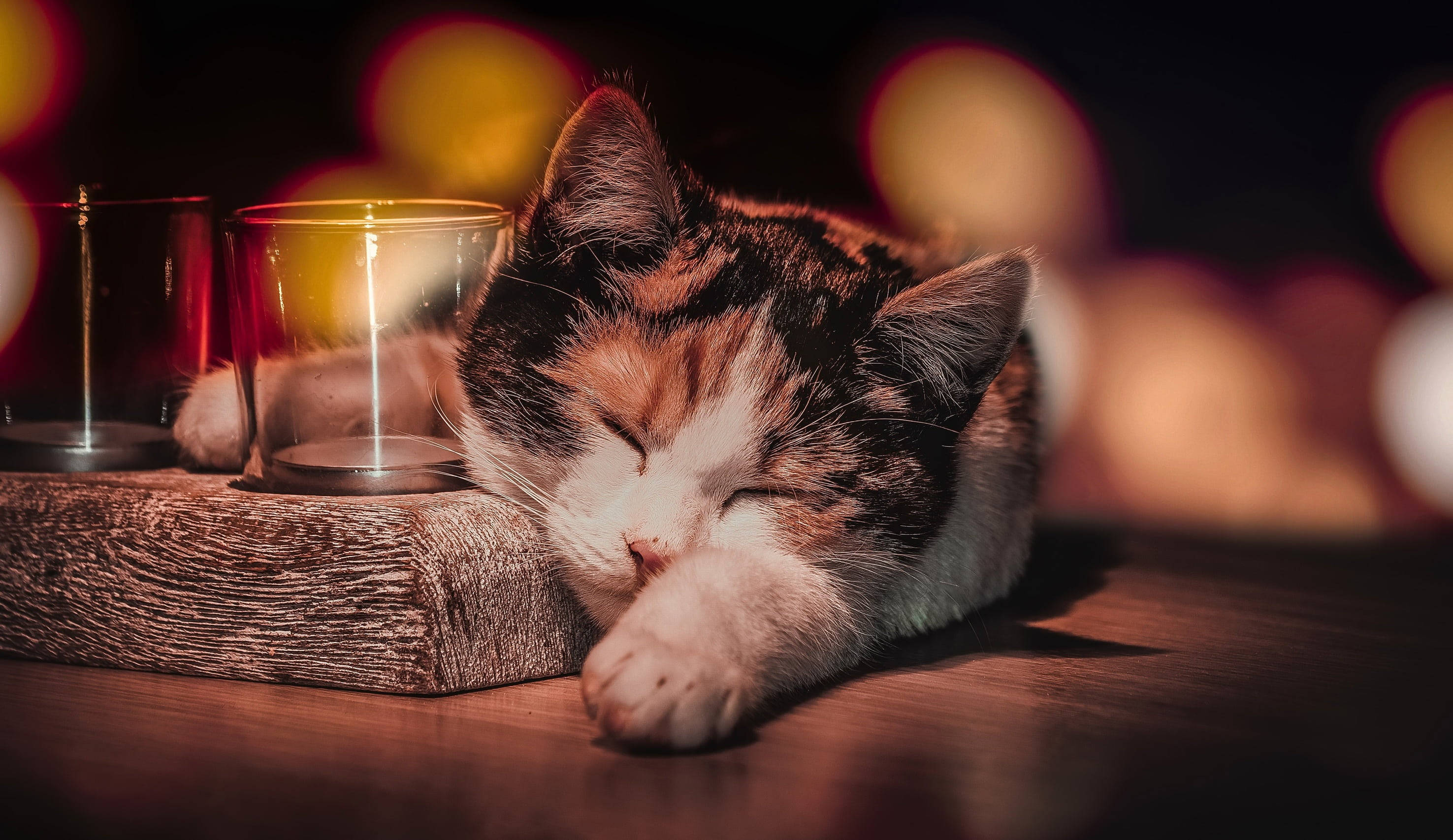 calico cat, wooden surface, glowing candles, 2K Desktop Wallpaper