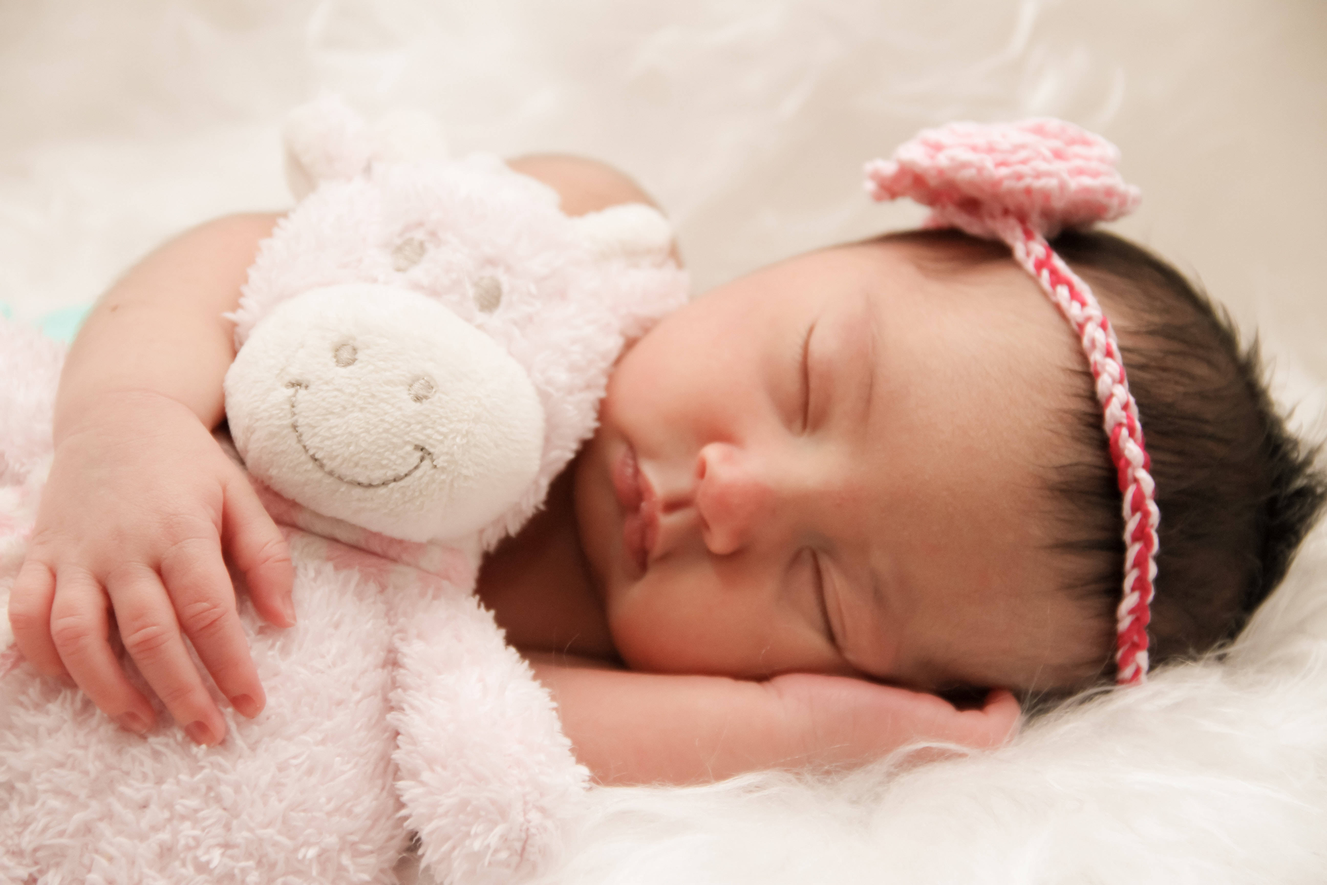 newborn baby, soft pink stuffed animal, knit headband, 5K Desktop Wallpaper