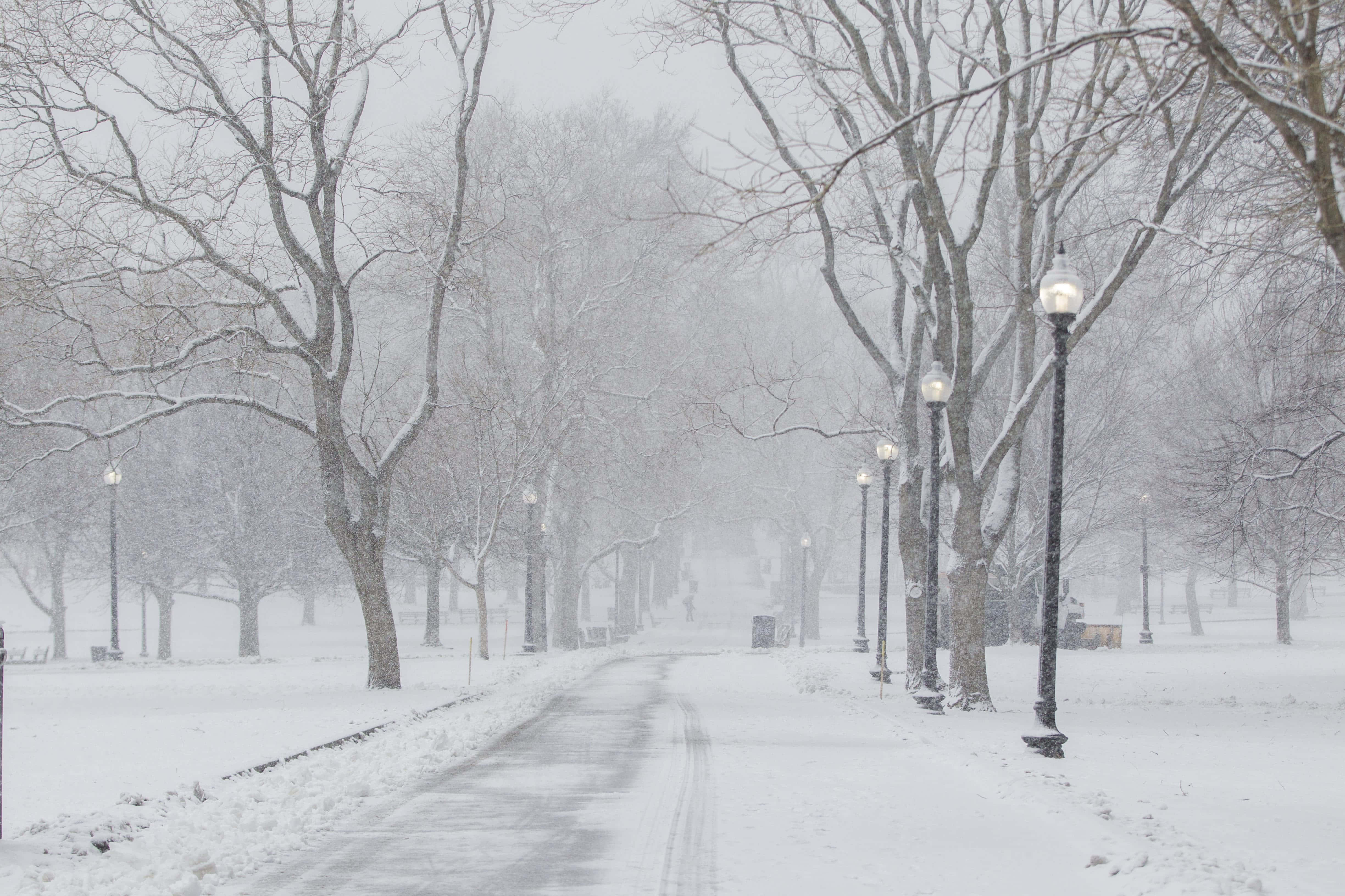 Sleet, snowstorm, park, 4K Desktop Wallpaper