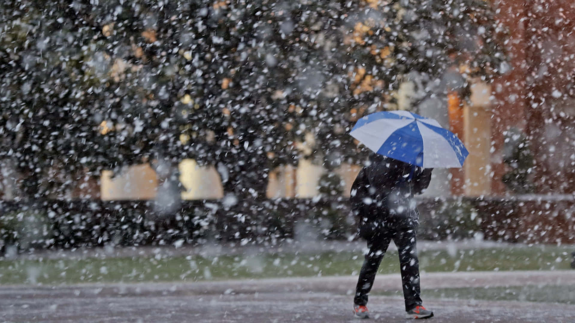 Sleet, blue and white umbrella, heavy snowfall, Full HD Desktop Wallpaper