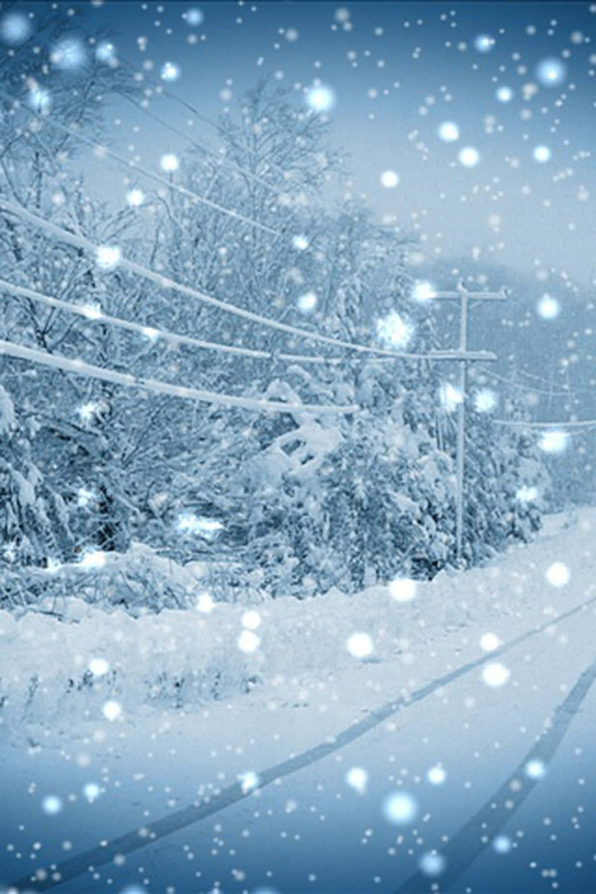 Sleet, roadside, frosted trees, HD Phone Wallpaper