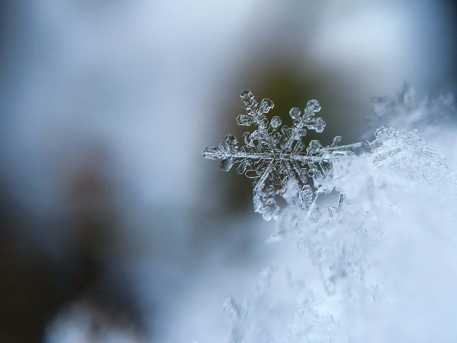 Sleet, snowflake, snowy surface, Full HD Desktop Wallpaper