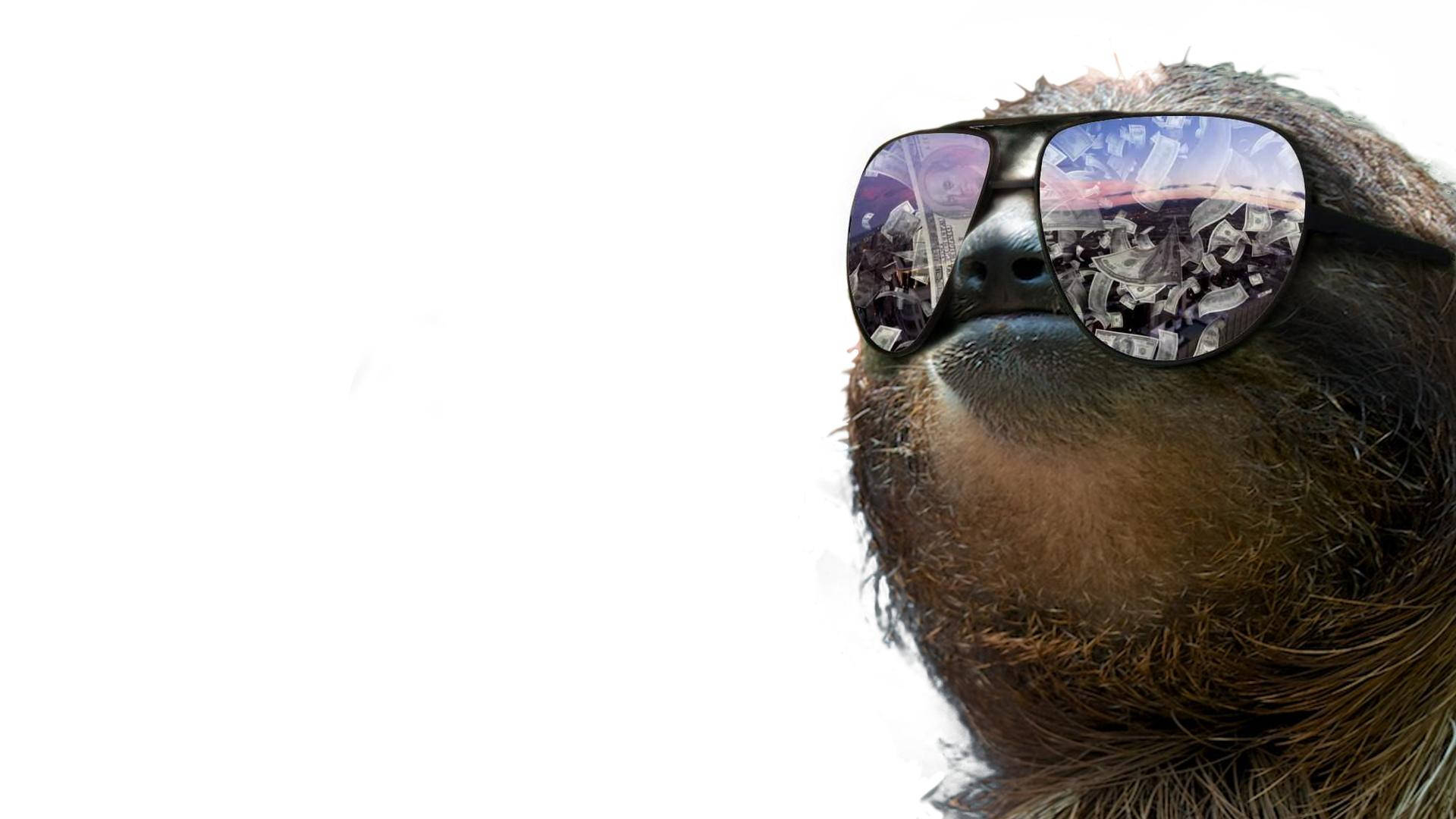 sloth, sunglasses, vibrant cityscape, Full HD Desktop Wallpaper