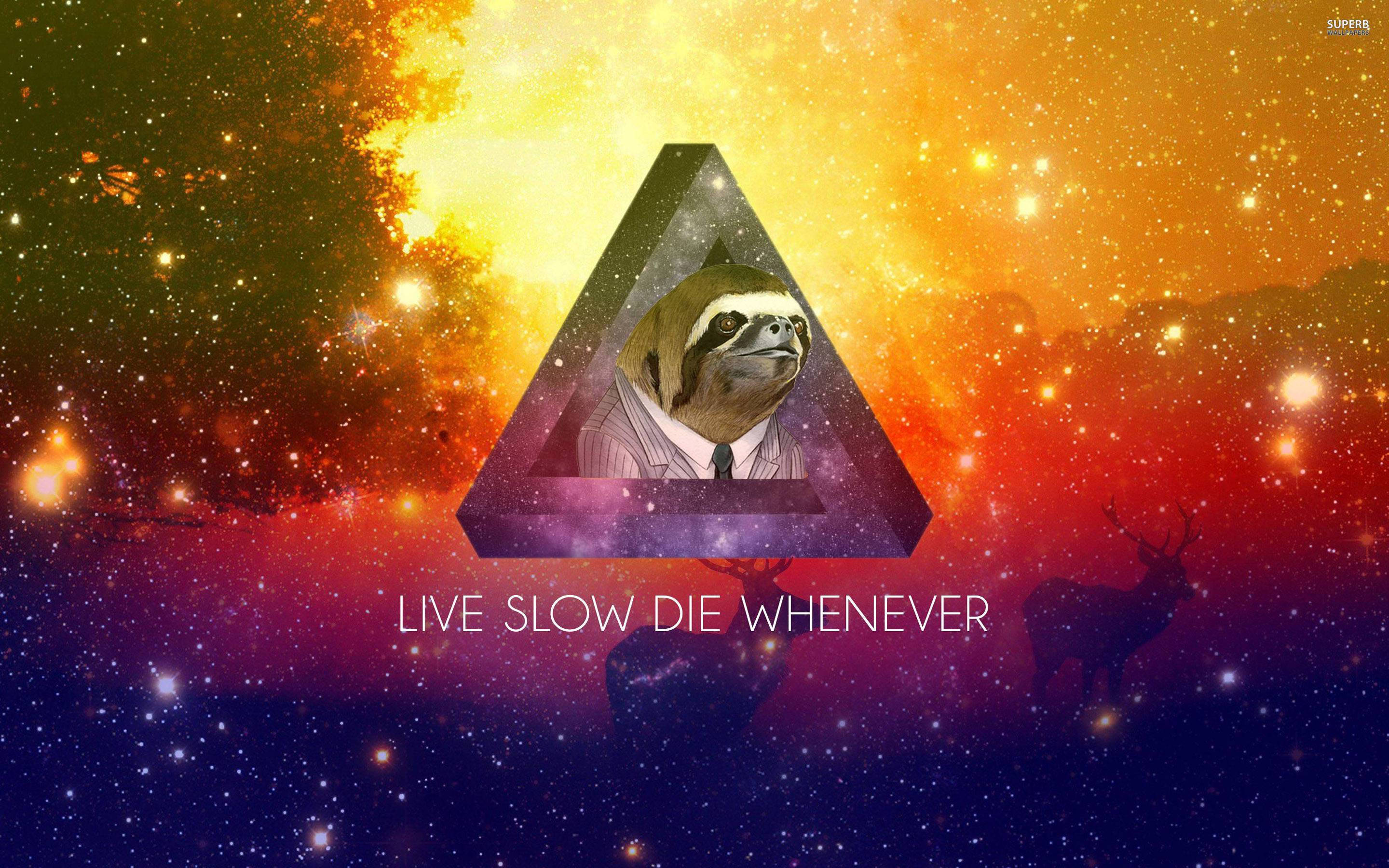 sloth, suit, glowing triangle, 2K Desktop Wallpaper