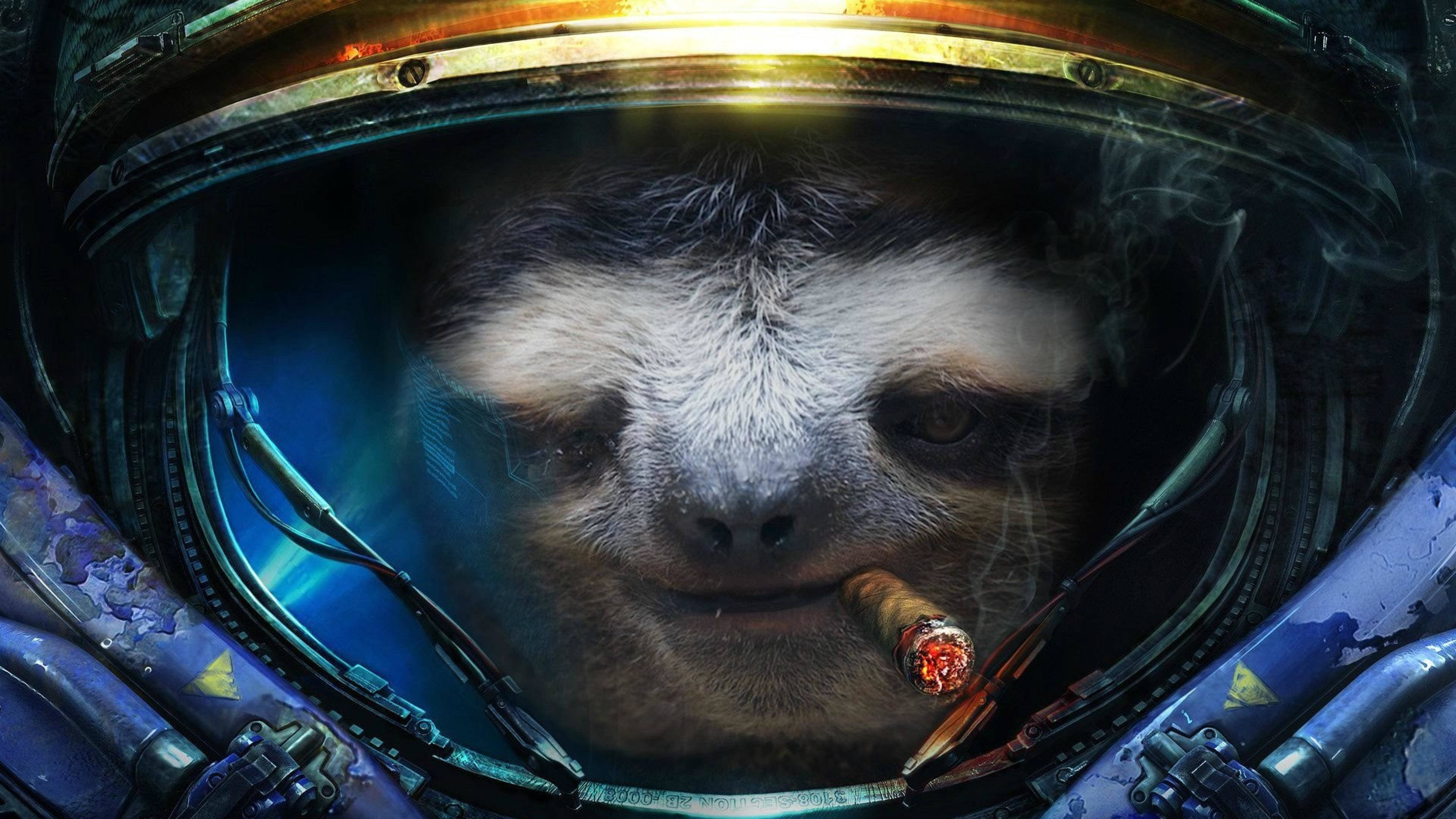 smoking sloth, worn astronaut helmet, cigar, 4K Desktop Wallpaper