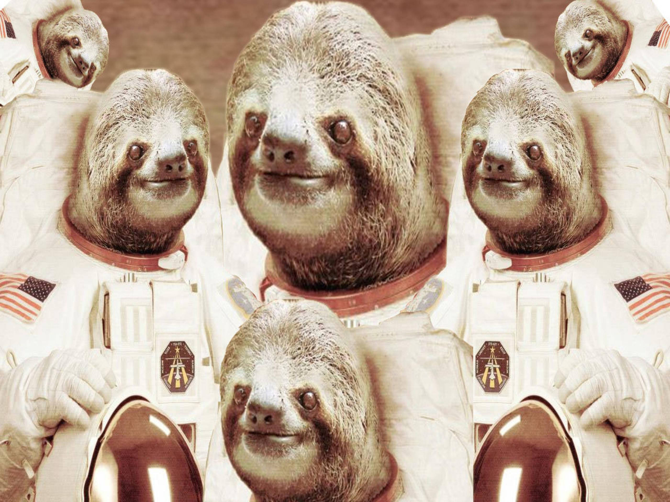 sloth, astronaut suits, American flags, 2K Desktop Wallpaper