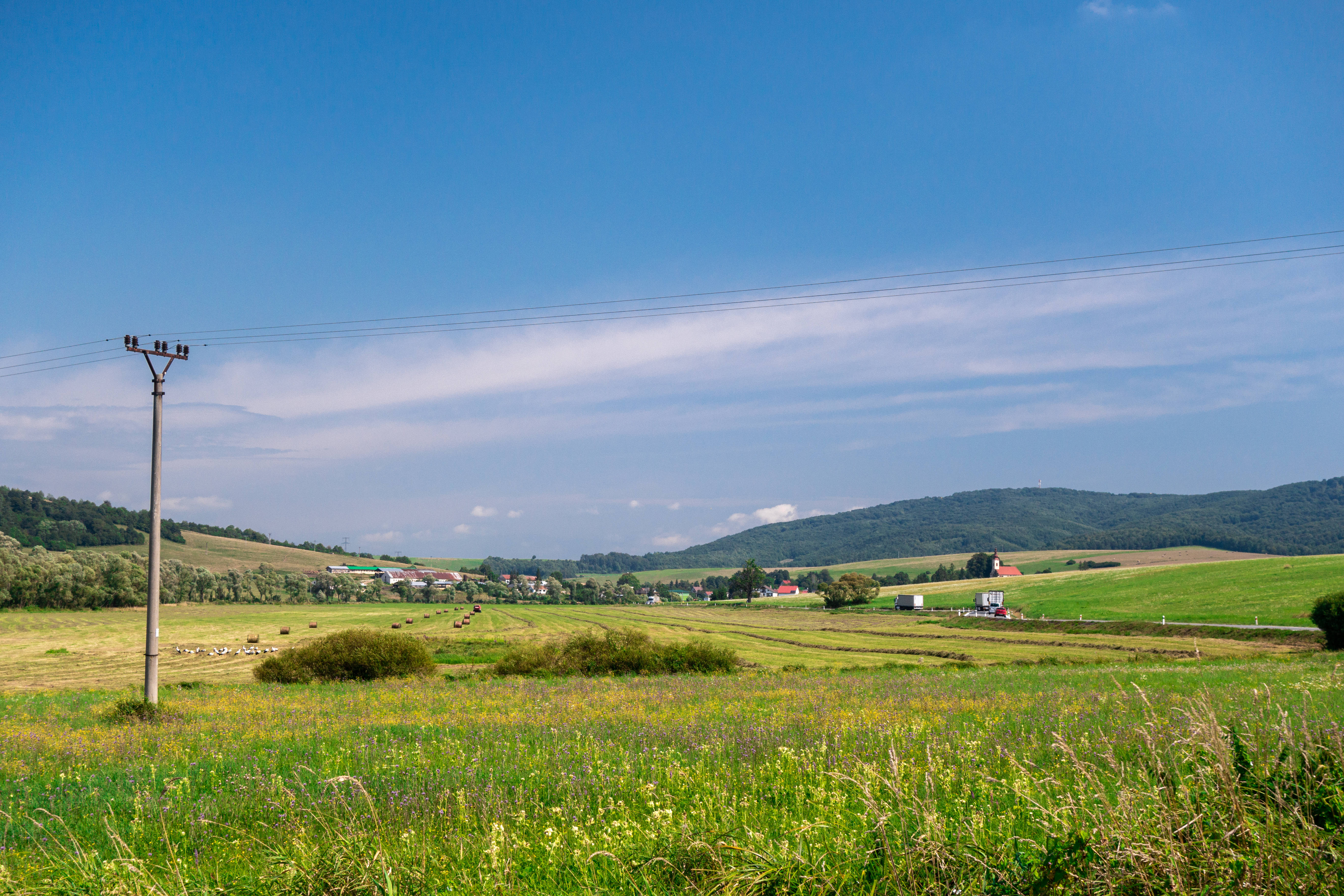 Slovakia, grassland, wildflowers, 5K Desktop Wallpaper