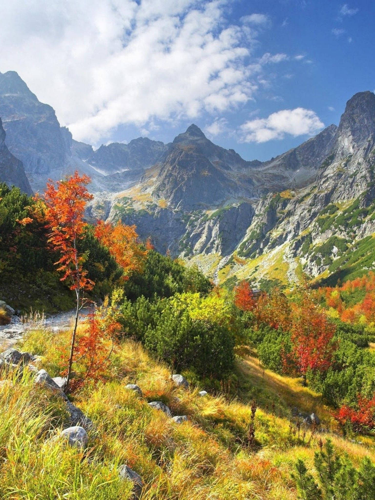 Slovakia, autumn valley, fiery red and gold foliage, Full HD Phone Wallpaper