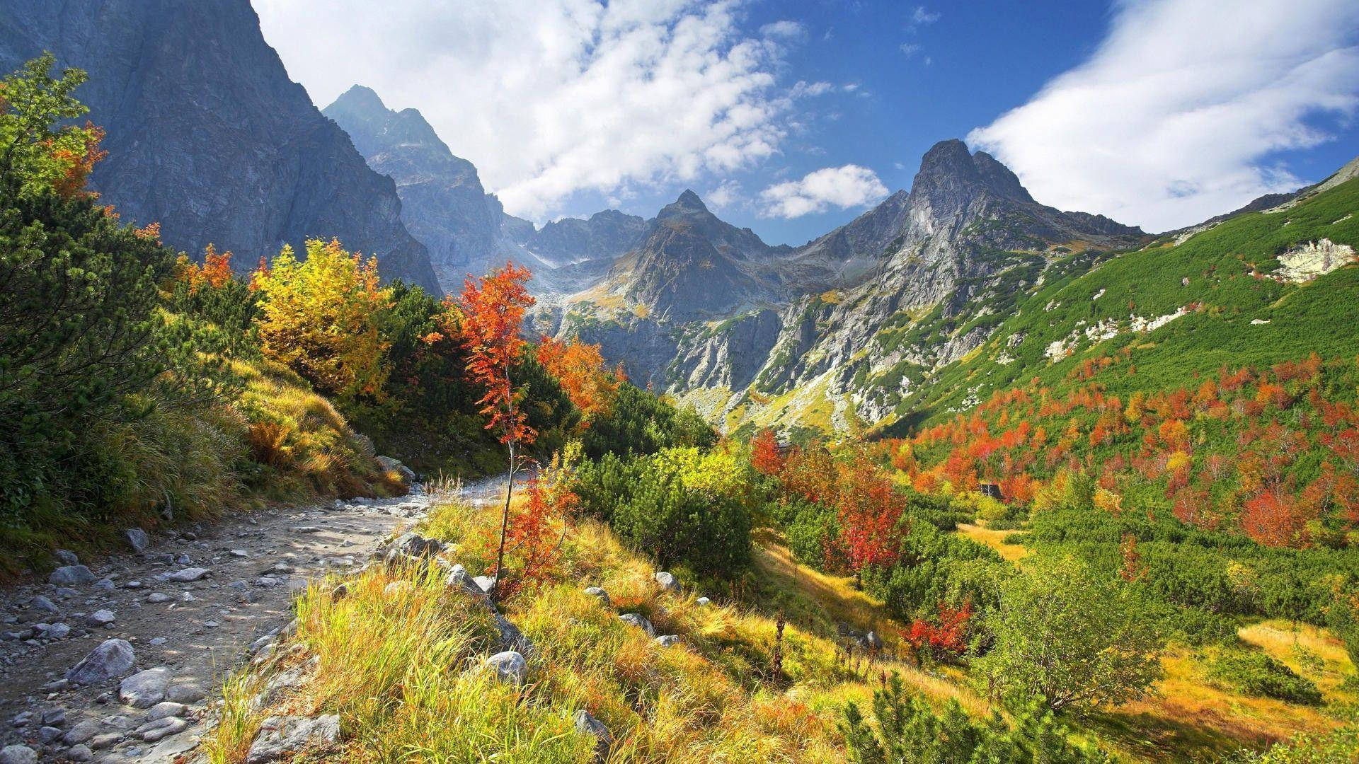 Slovakia, winding stone path, vibrant autumn foliage, Full HD Desktop Wallpaper