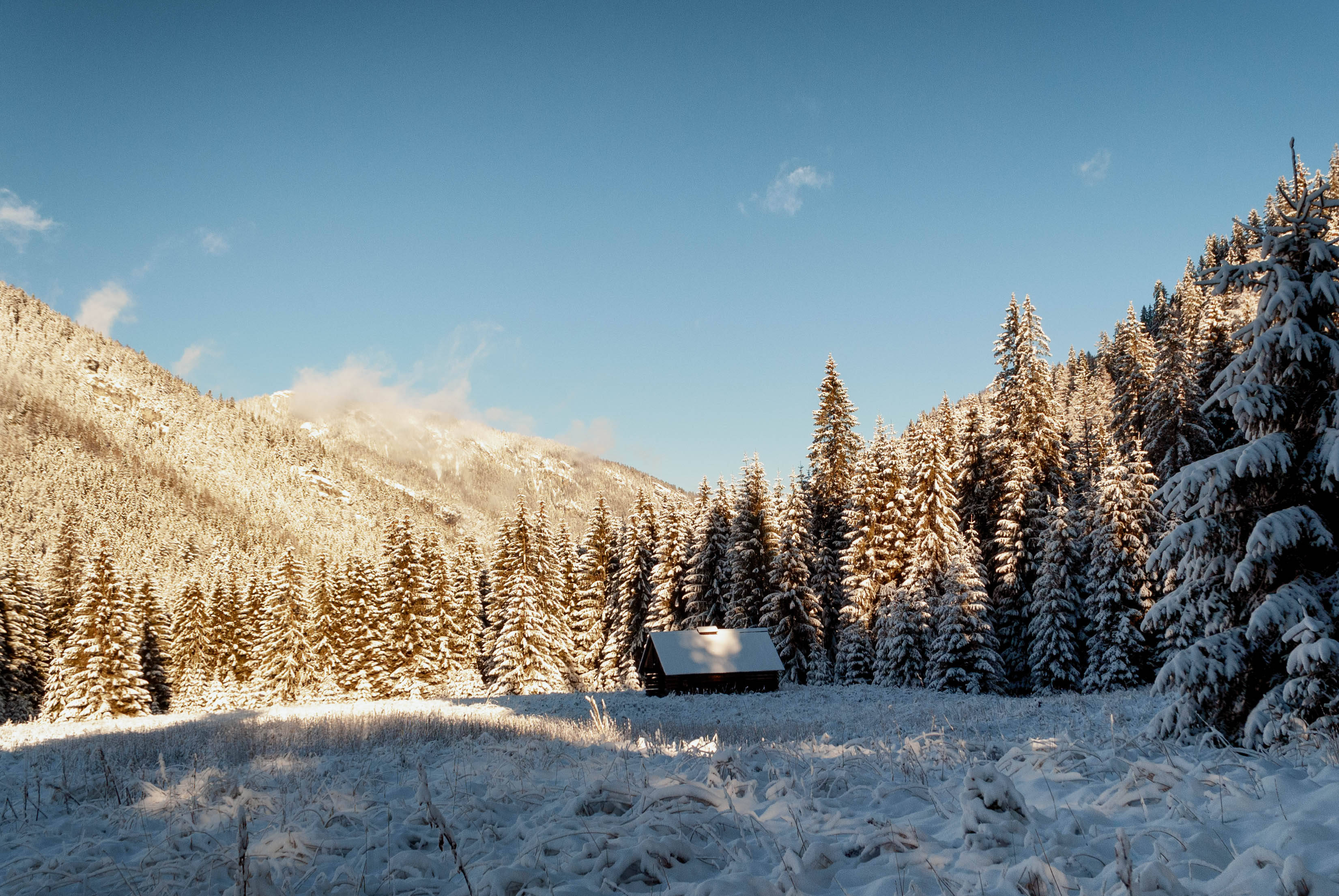 house in forest of slovakia, snow-covered cabin, frosted pine trees, 2K Desktop Wallpaper