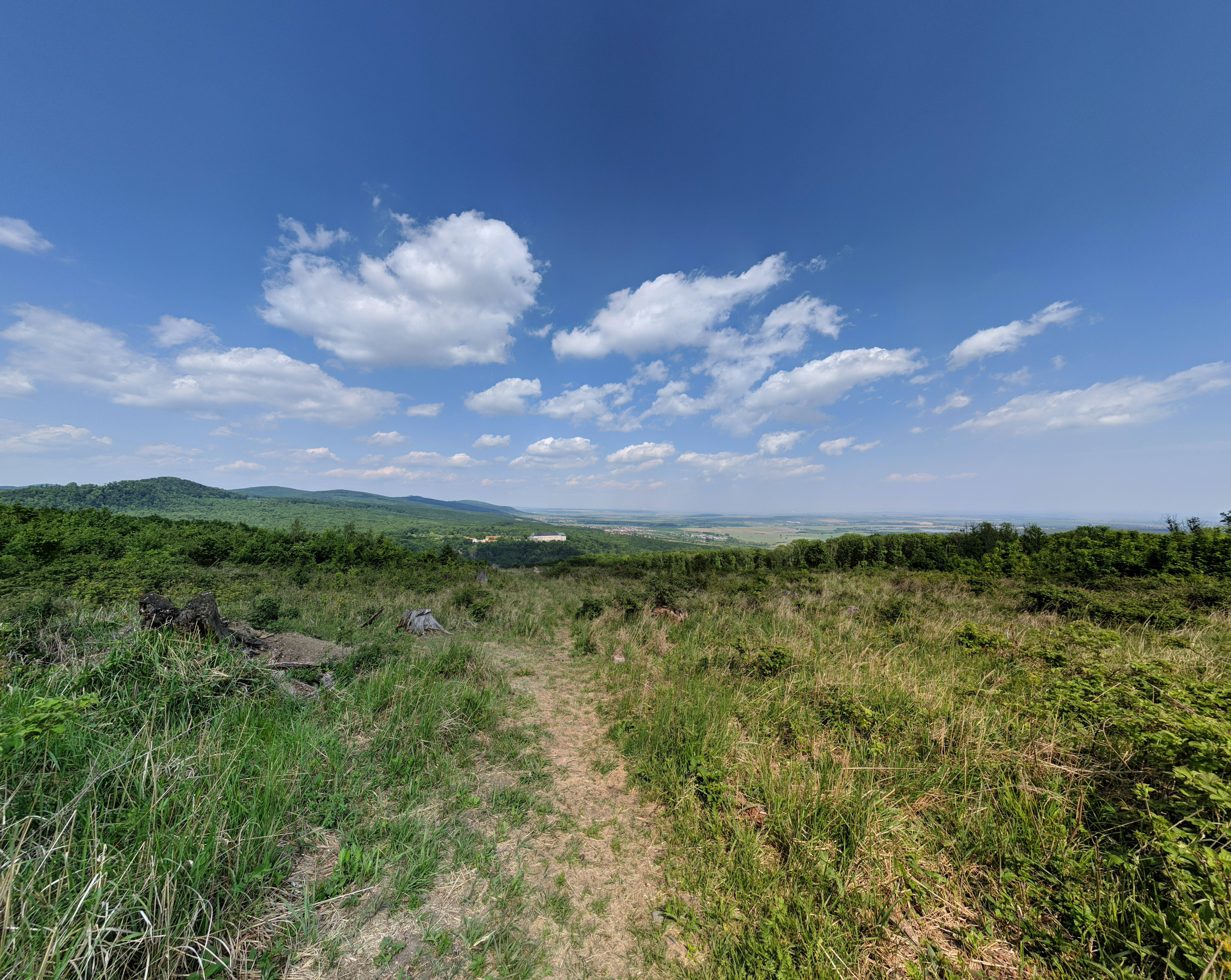 Slovakia, grass field, winding dirt trail, 5K Desktop Wallpaper