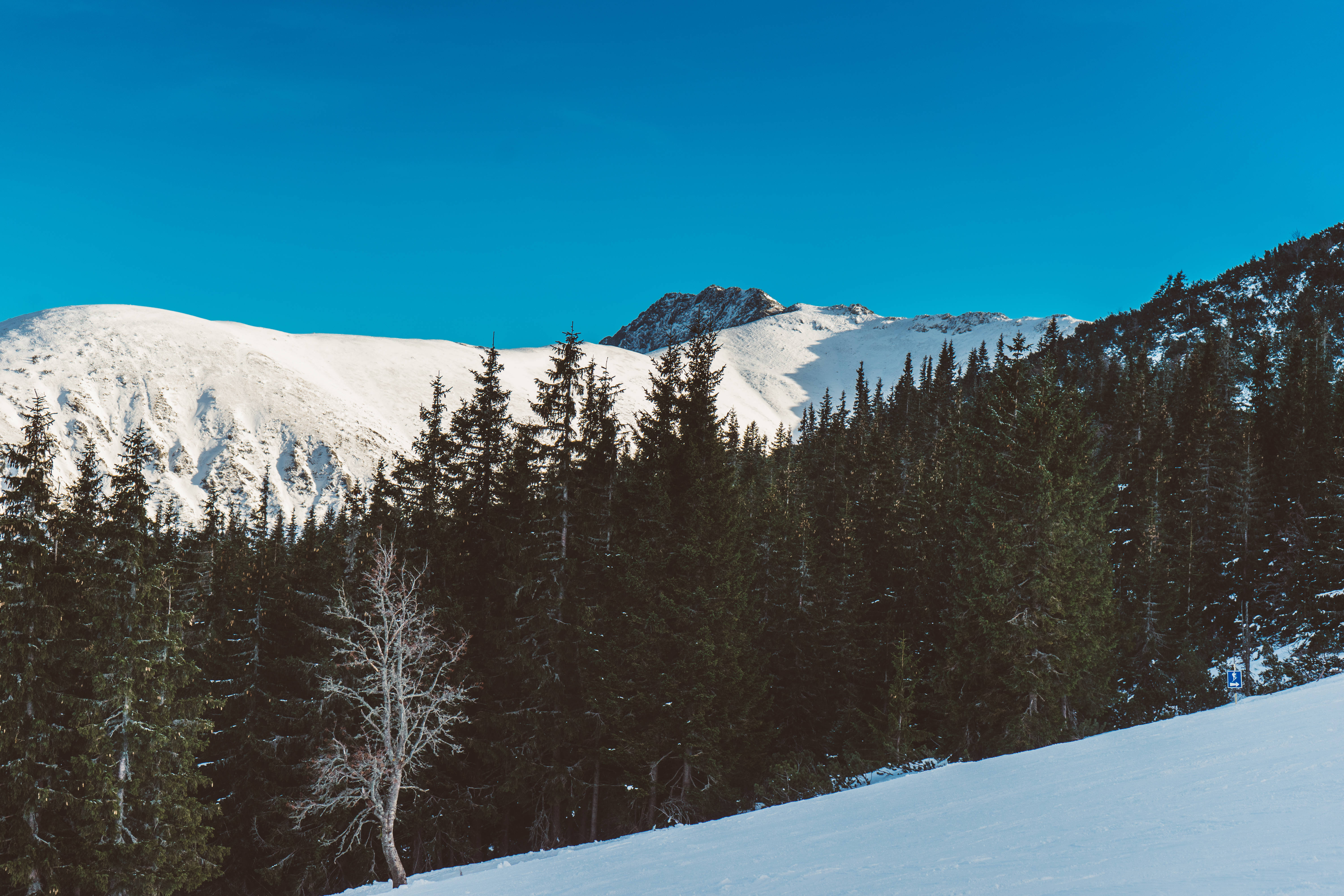 Slovakia, Winter Season, snow, 5K Desktop Wallpaper