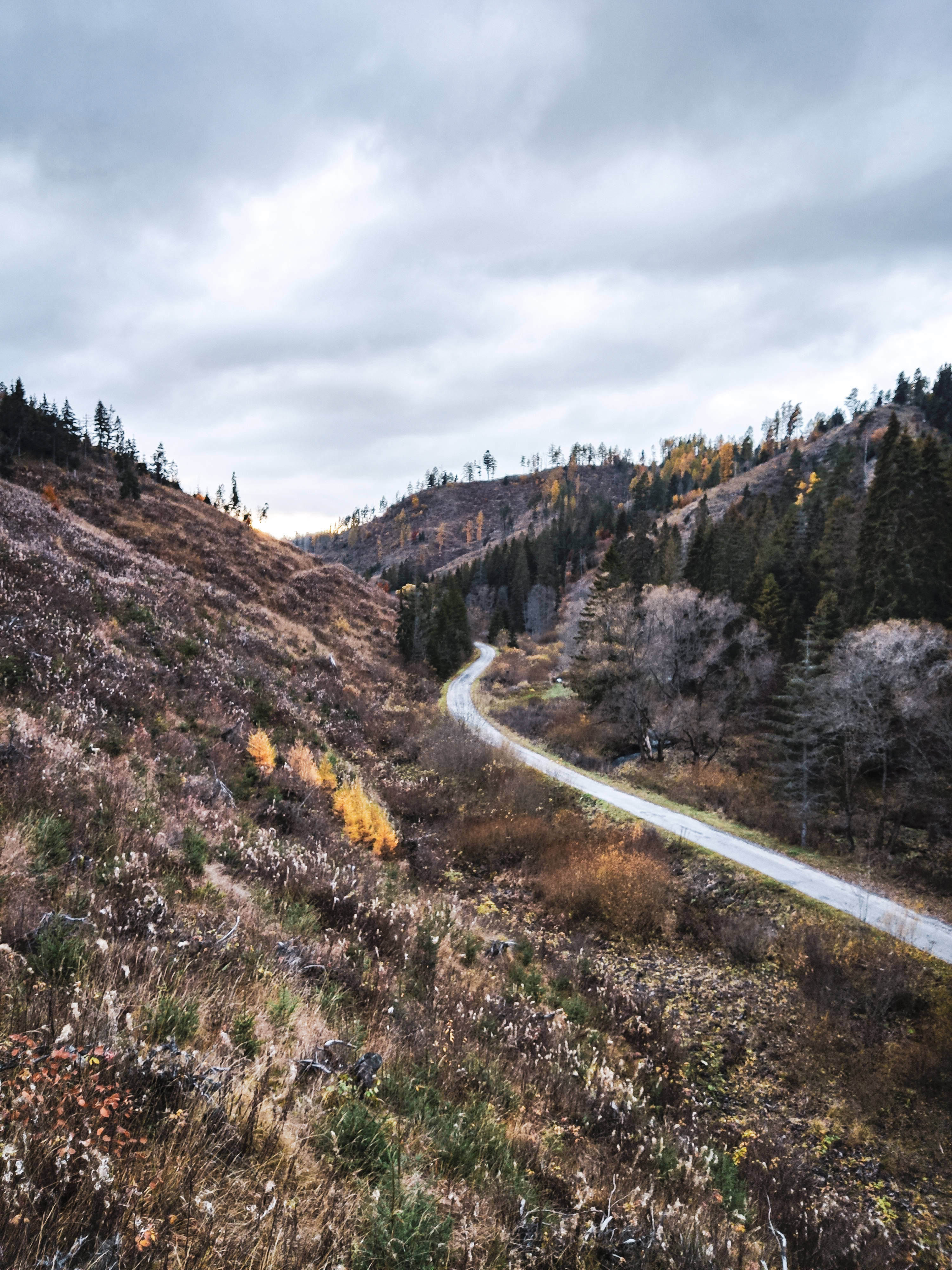 Slovakia, winding road, autumn hillsides, 4K Phone Wallpaper