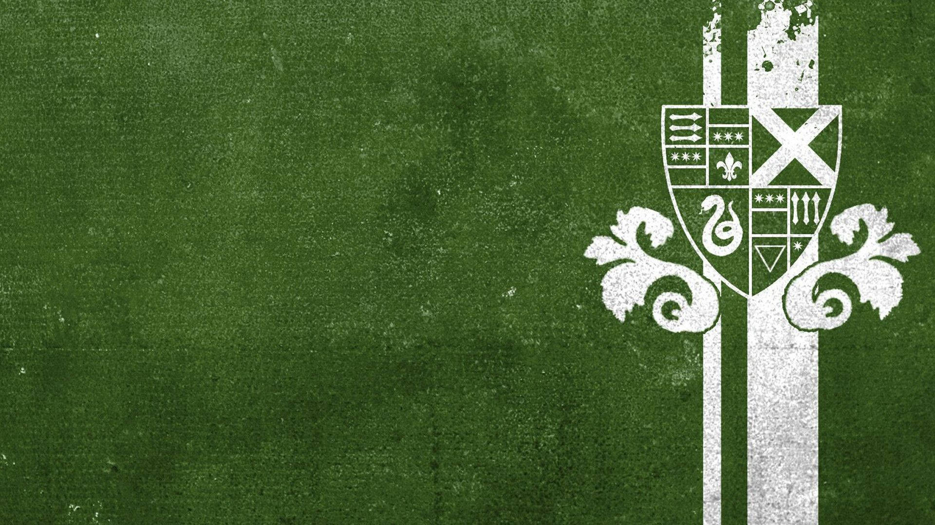 Slytherin, green concrete wall, white heraldic crest, Full HD Desktop Wallpaper