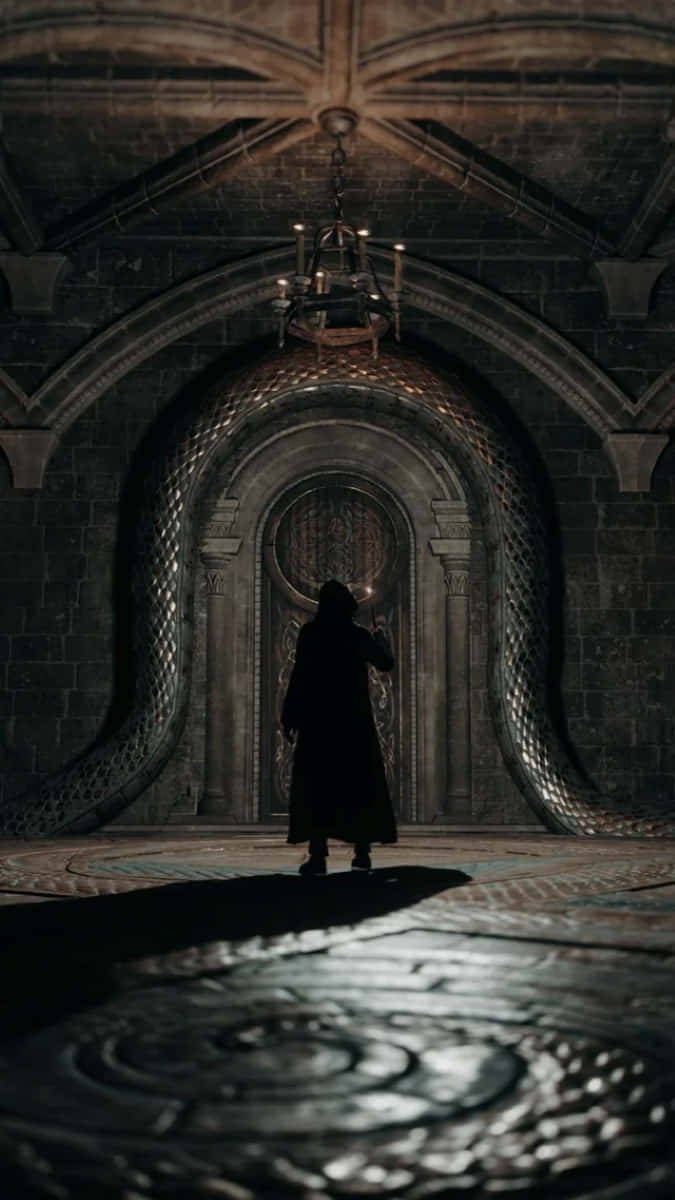 Slytherin Common Room, robed figure, dimly lit stone cathedral, SD Phone Wallpaper