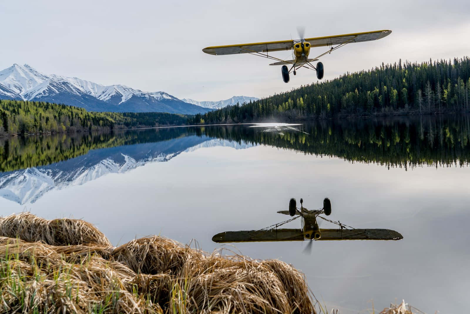 yellow floatplane, glassy lake, snowcapped mountains, HD Desktop Wallpaper