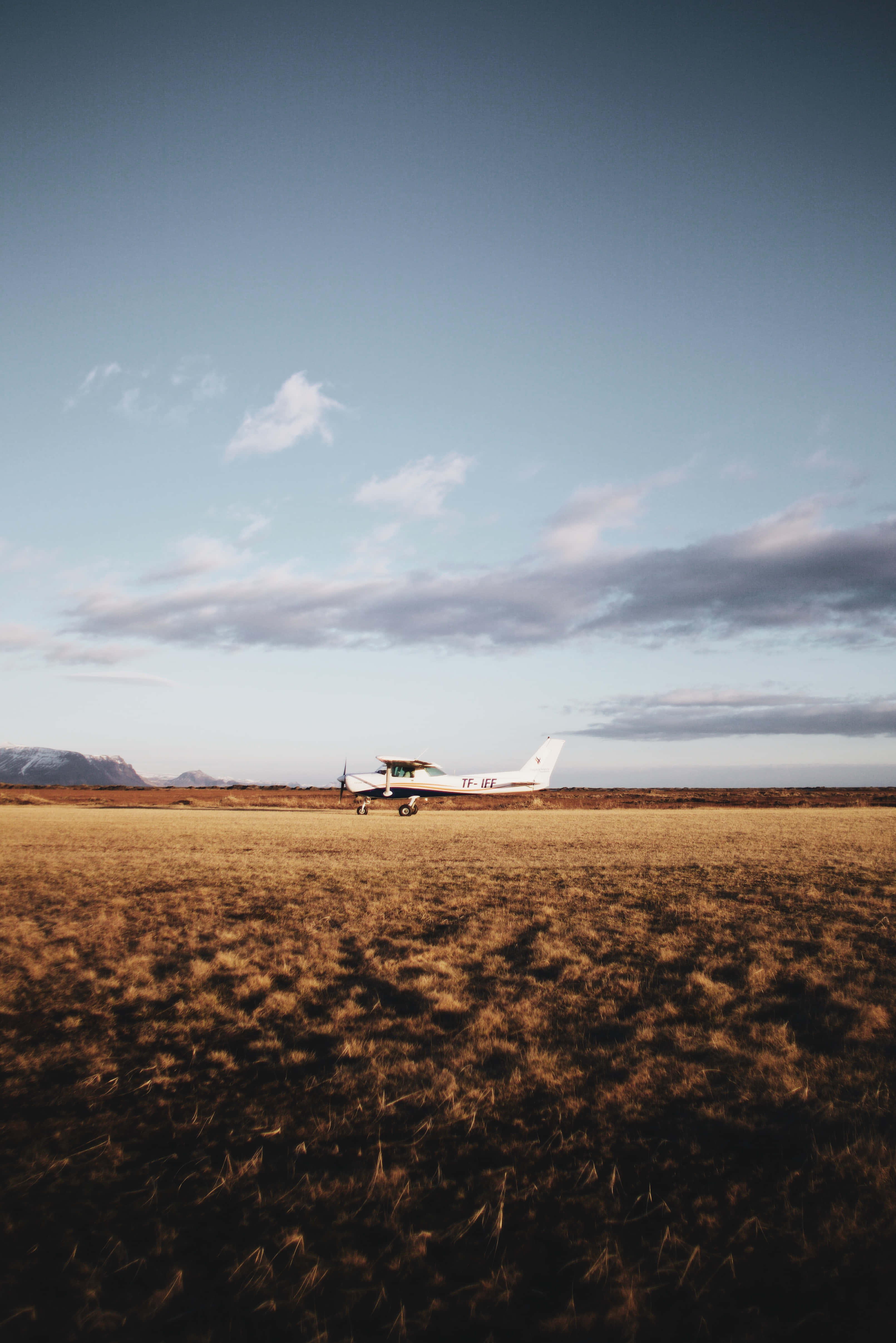 small airplane, golden grassy field, vast blue sky, 4K Phone Wallpaper