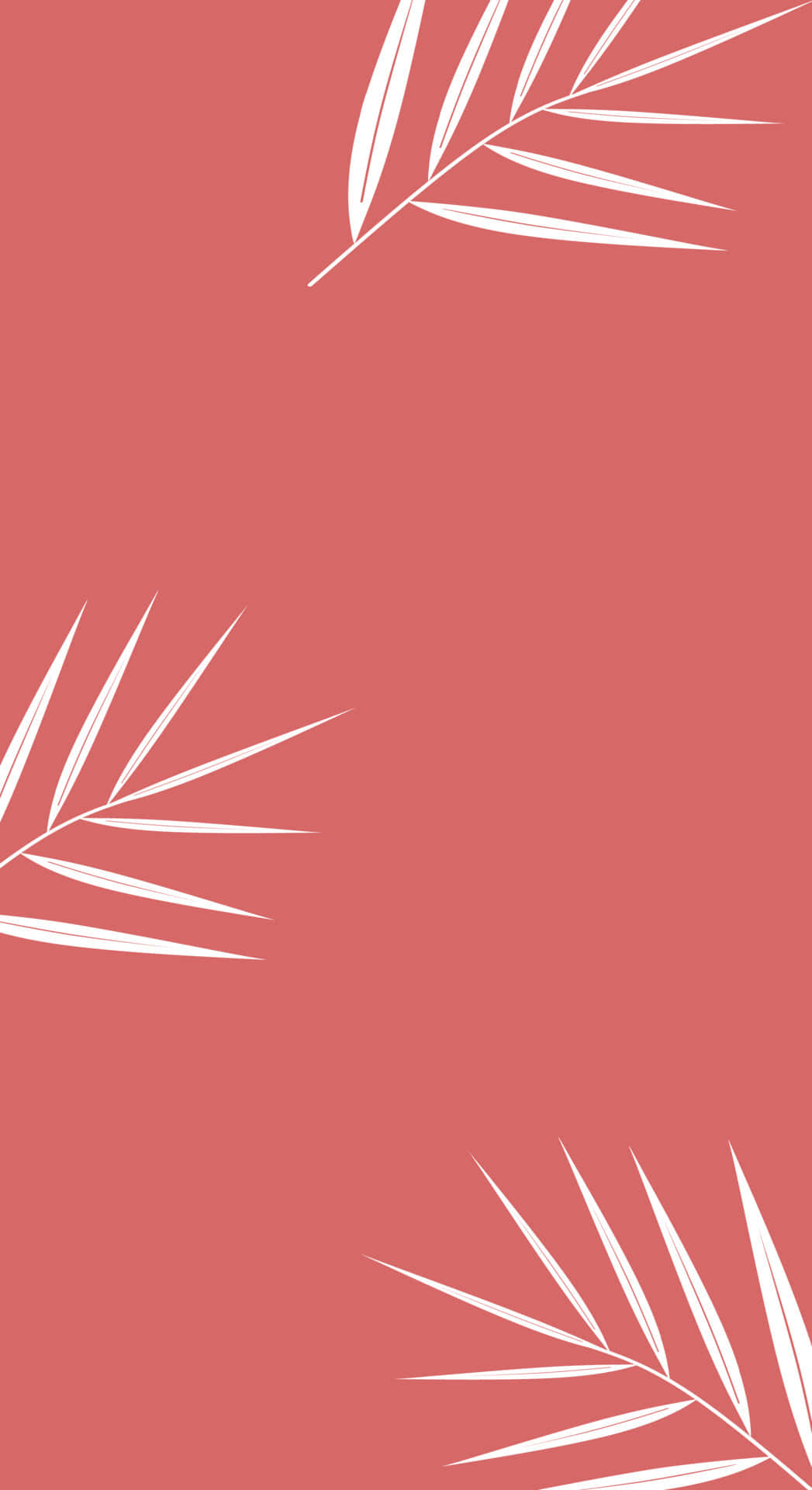 pink background, white palm leaves, coral pink, Full HD Phone Wallpaper