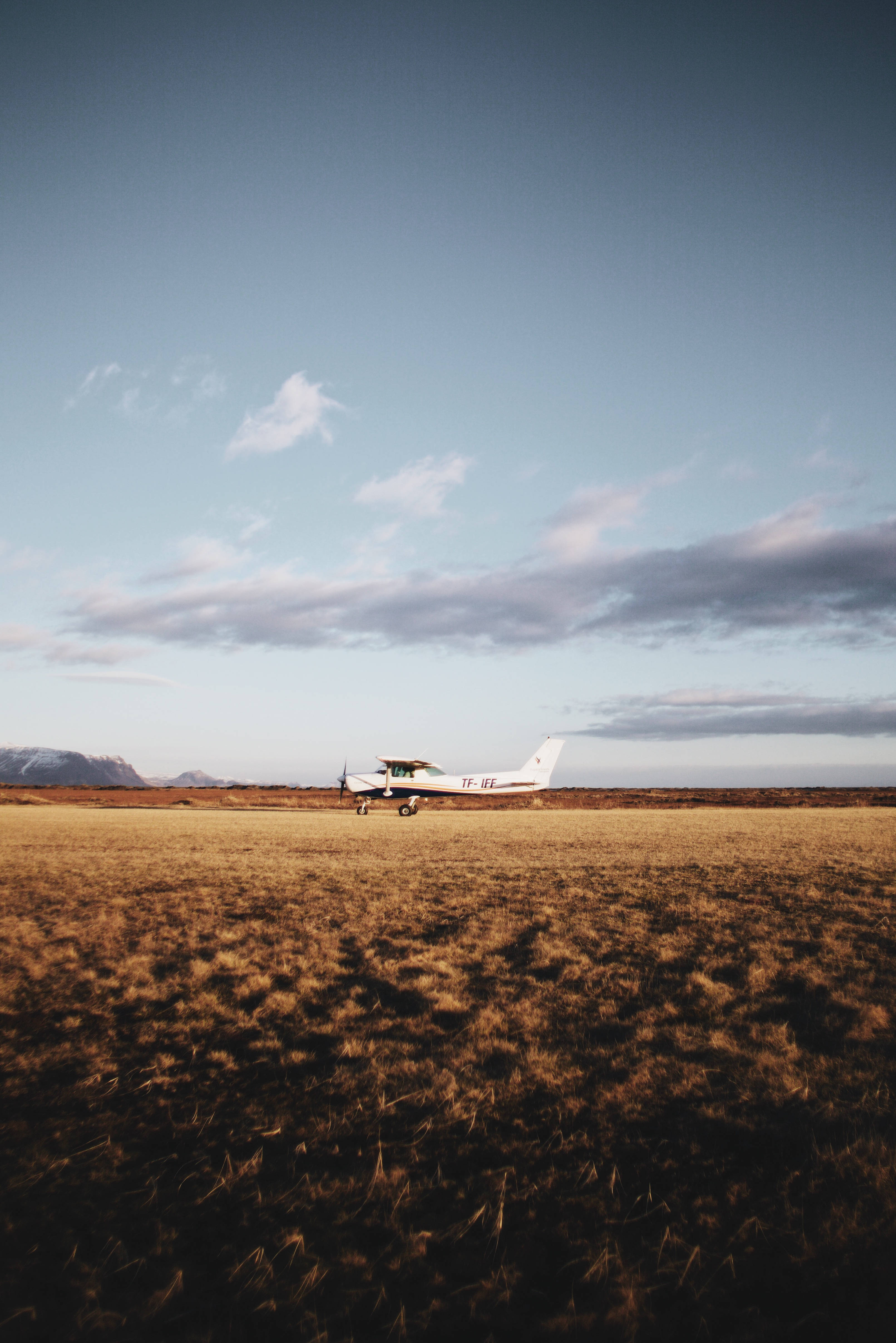 white small plane, golden grassy field, vast blue sky, 4K Phone Wallpaper
