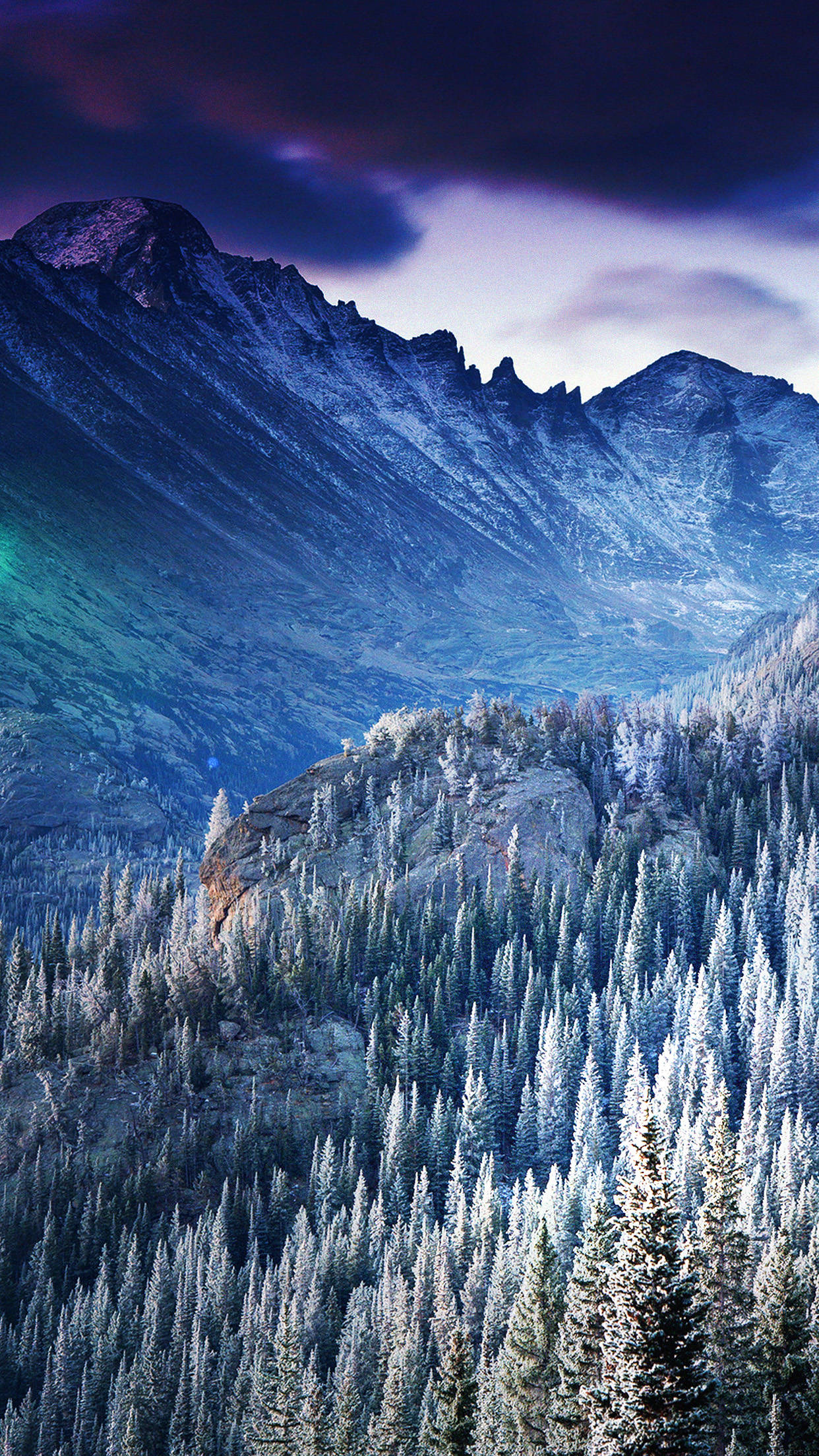 Winter Mountain Ranges, frost-covered pine trees, twilight sky, Full HD Phone Wallpaper