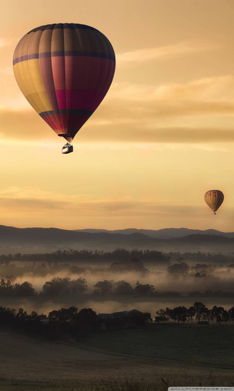hot air balloon, misty valley, sunrise, HD Phone Wallpaper