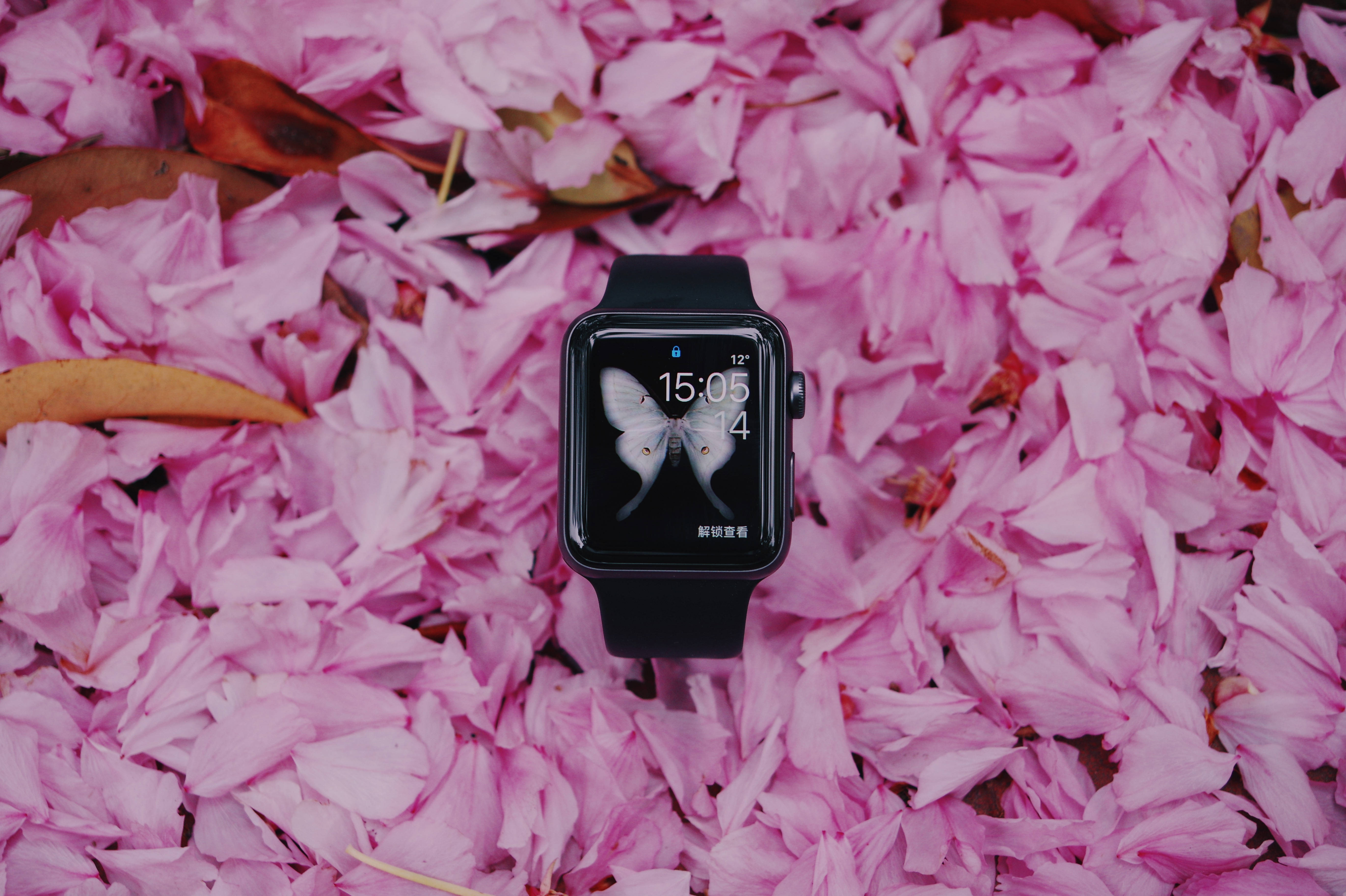 black smartwatch, pink cherry blossoms, brown leaves, 5K Desktop Wallpaper