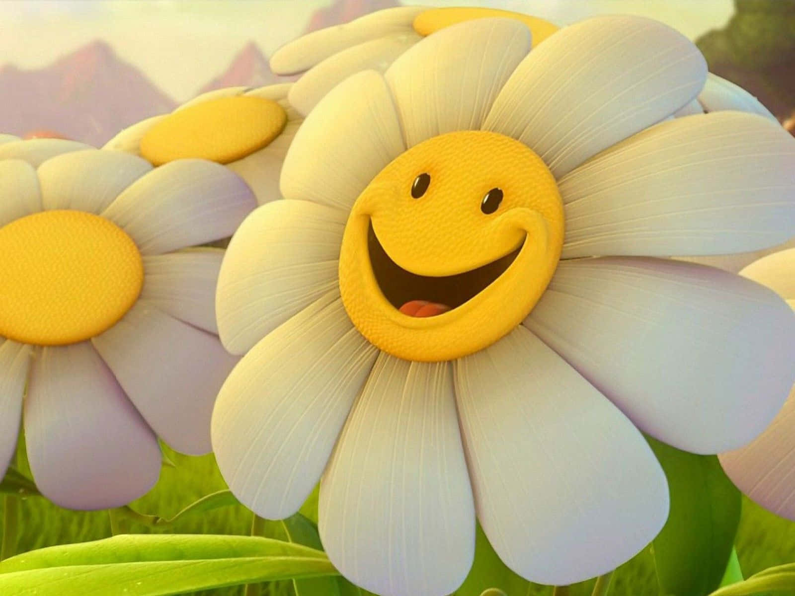Smiley, daisy, sunlit meadow, HD Desktop Wallpaper