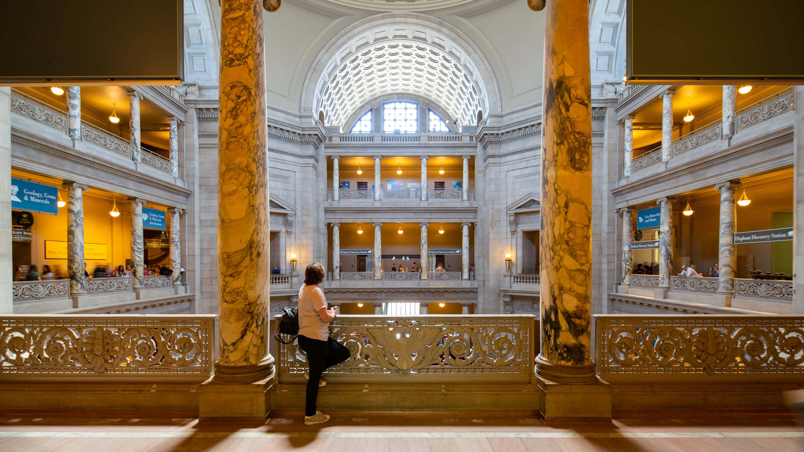 Smithsonian National Museum Of Natural History, ornate railings, multi-level library, 2K Desktop Wallpaper