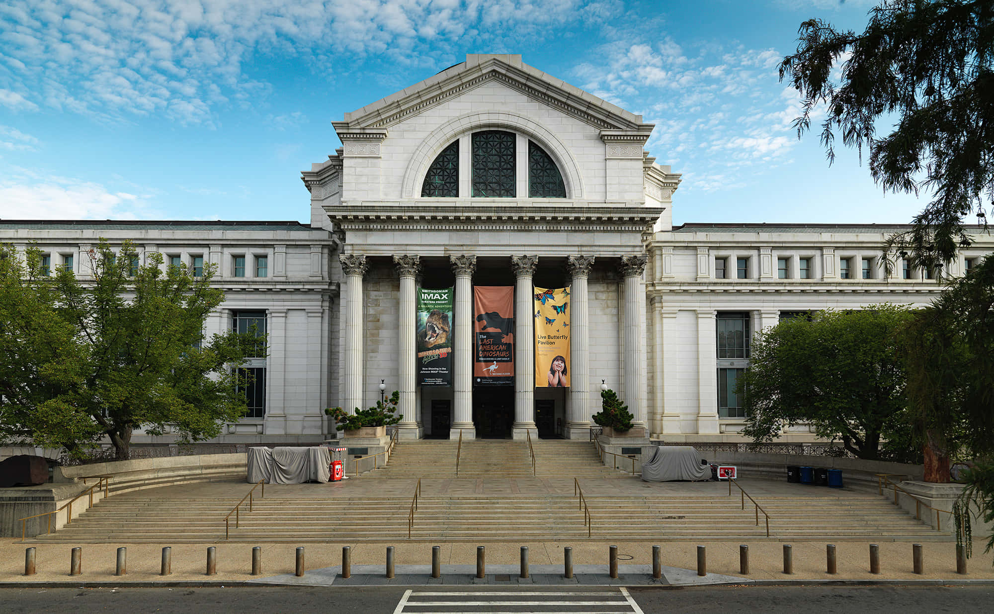 Smithsonian National Museum Of Natural History, neoclassical, tall columns, Full HD Desktop Wallpaper