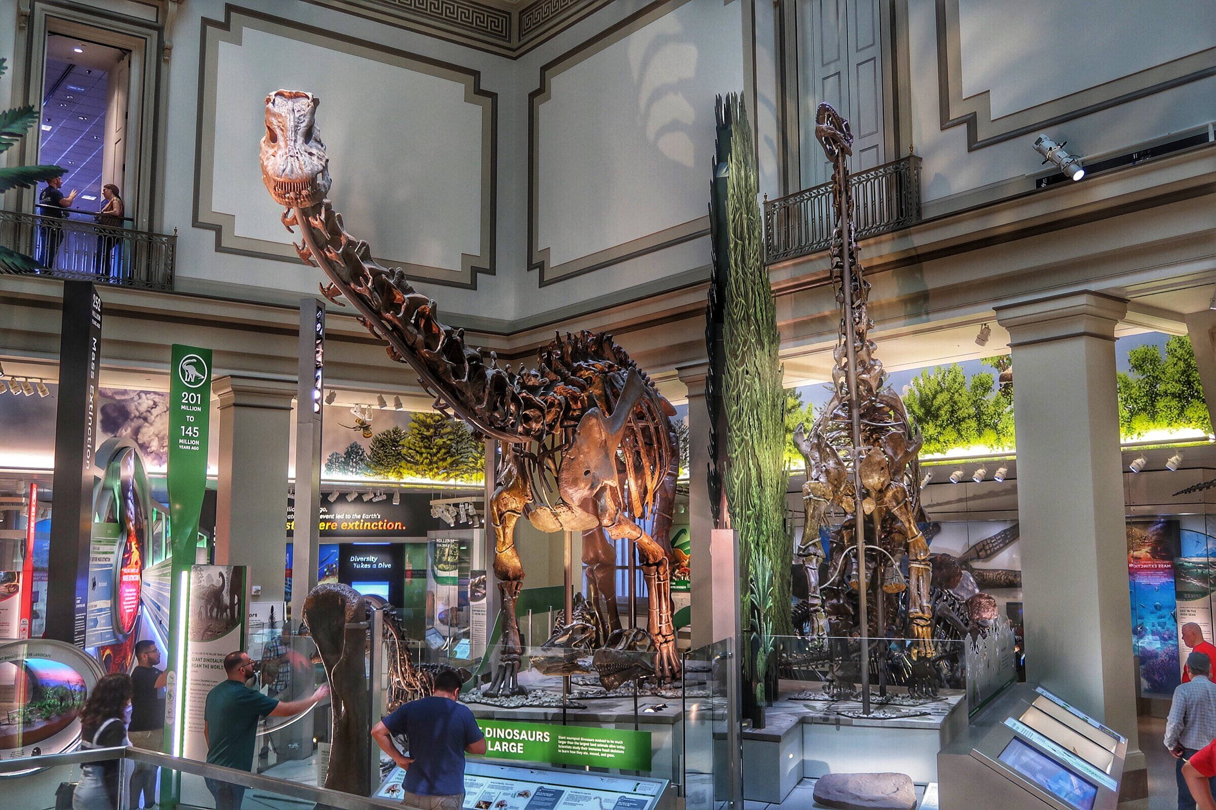 Smithsonian, dinosaur skeleton, museum hall, Full HD Desktop Wallpaper