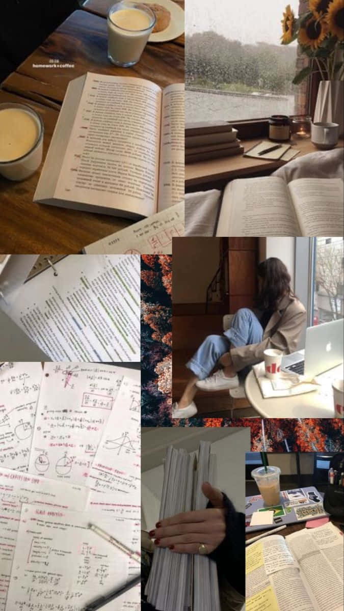 Studious People Collection, cozy study, books, SD Phone Wallpaper