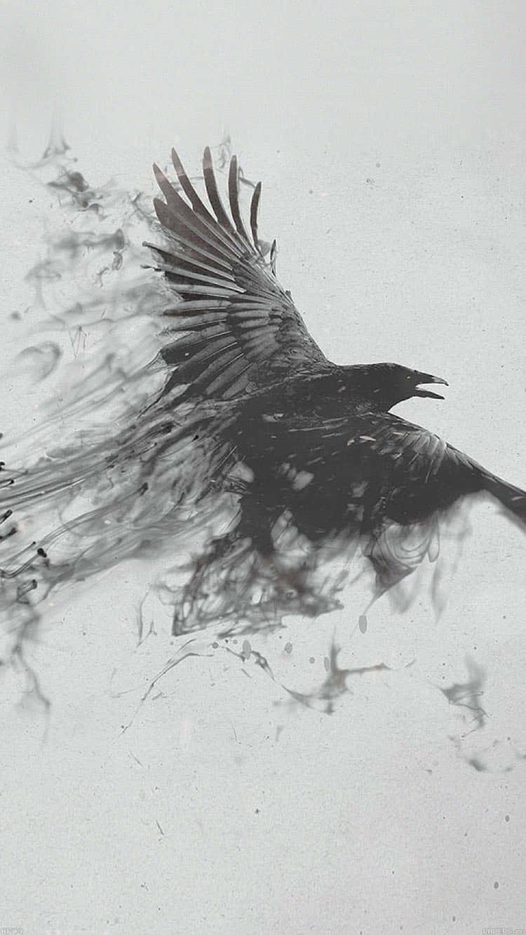 smoke tumblr, crow, outstretched wings, HD Phone Wallpaper