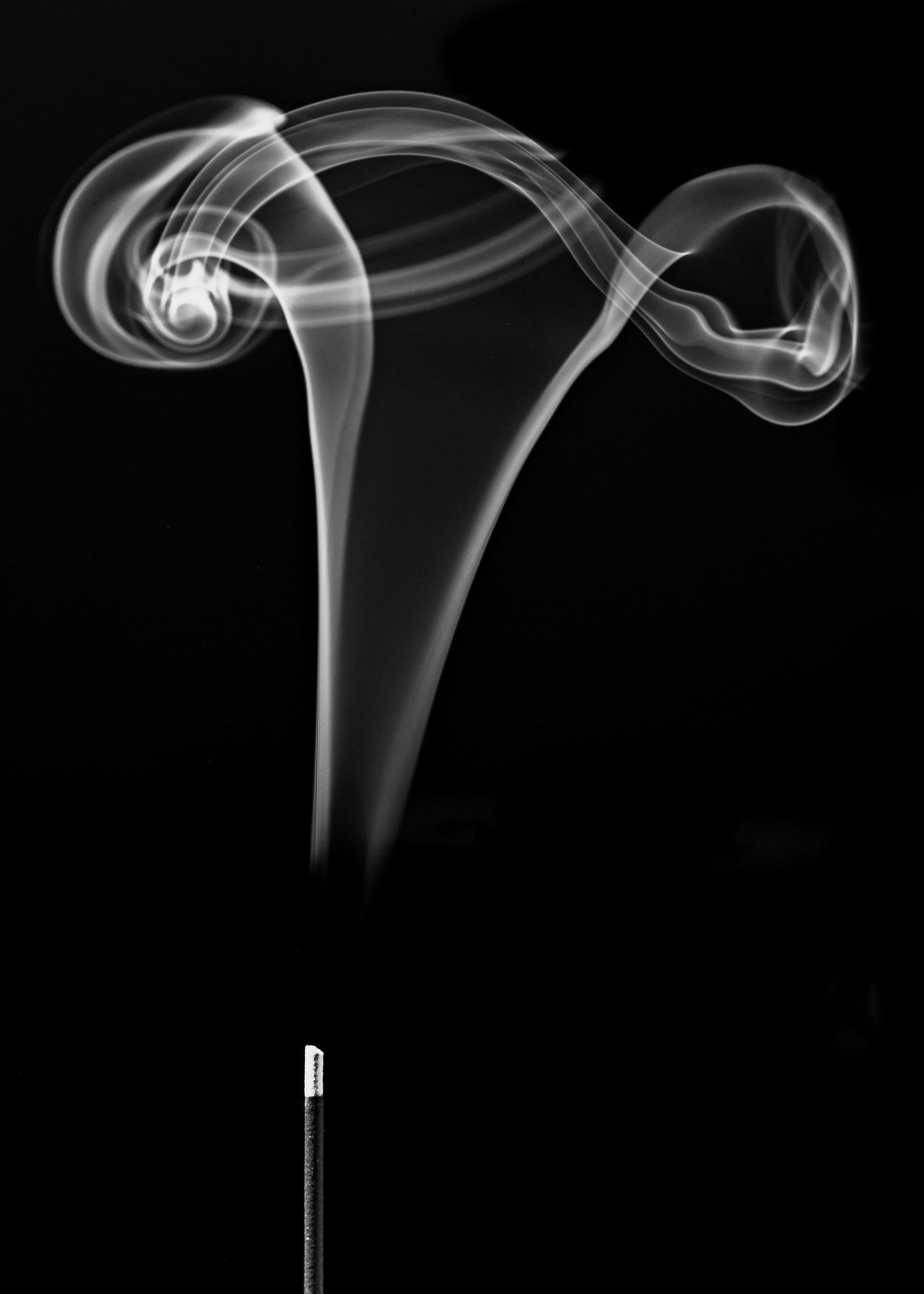 incense stick, swirling wisps of smoke, stark black background, 5K Phone Wallpaper